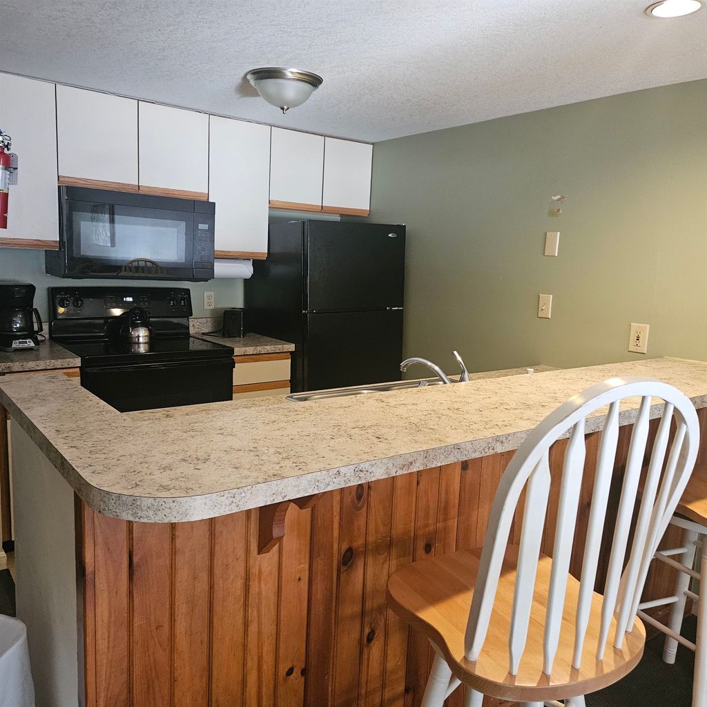 Photo of 164 Deer Park Drive #161D, Woodstock, NH 03262 (MLS # 5083900)