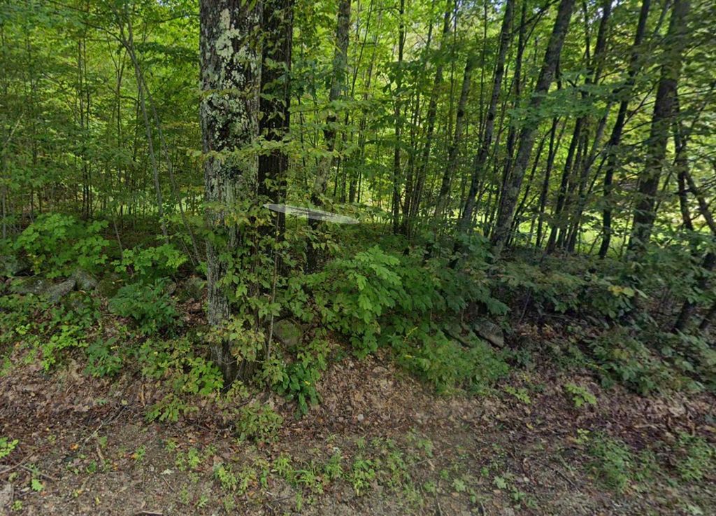 Photo of 13 North Wilmot Road, Wilmot, NH 03287 (MLS # 5085742)