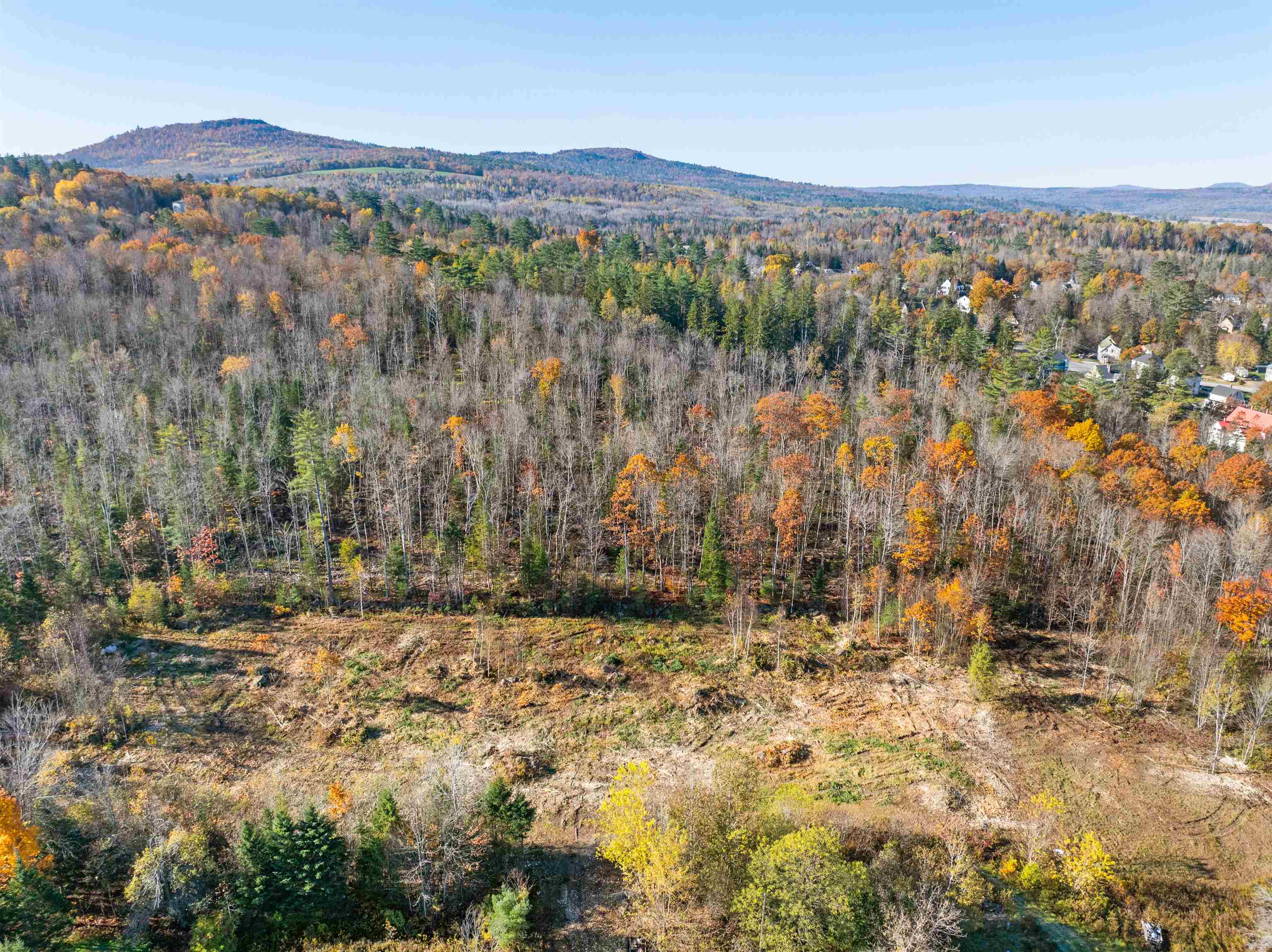 Lot 82 Portland Street