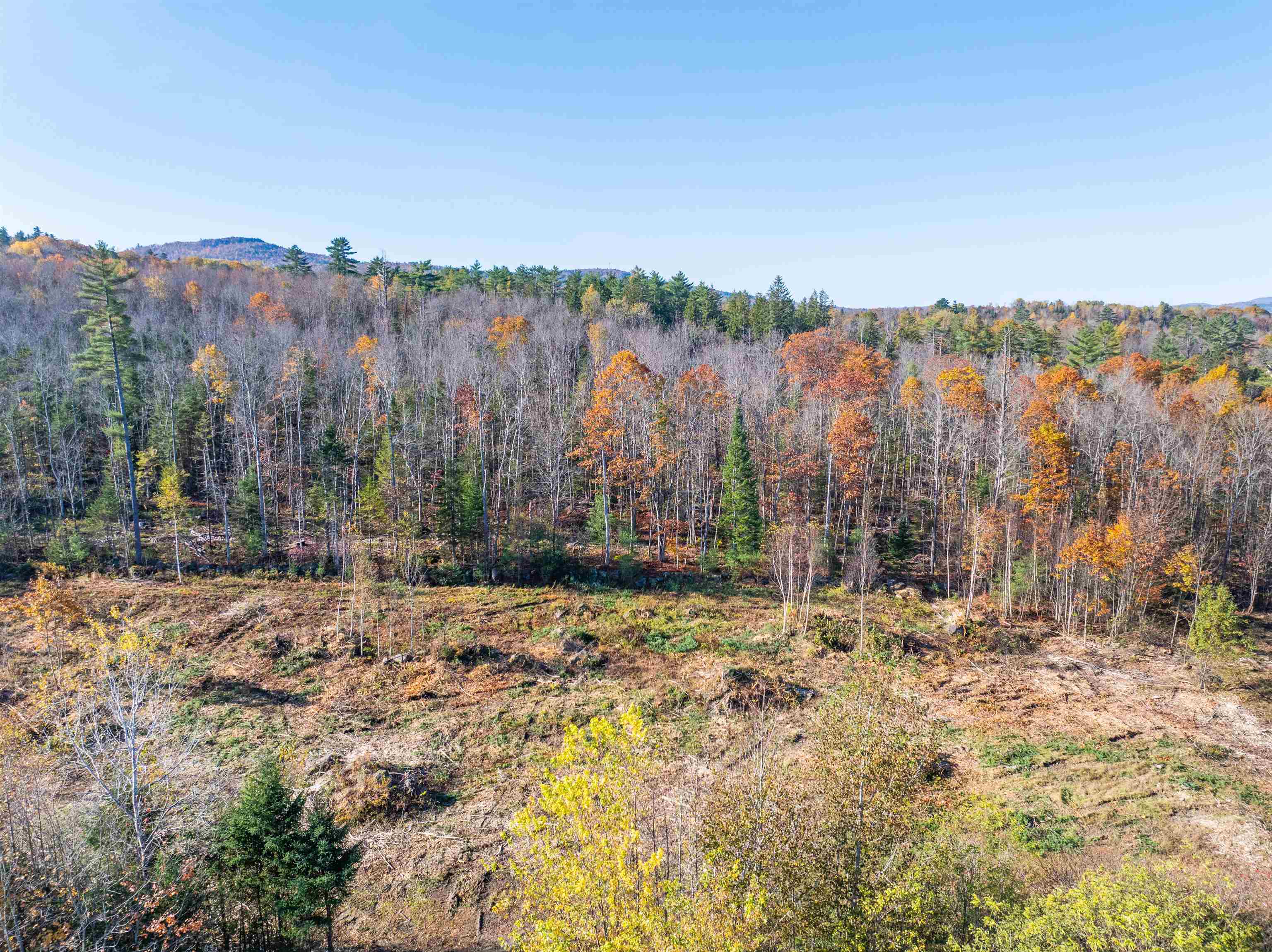 Lot 82 Portland Street