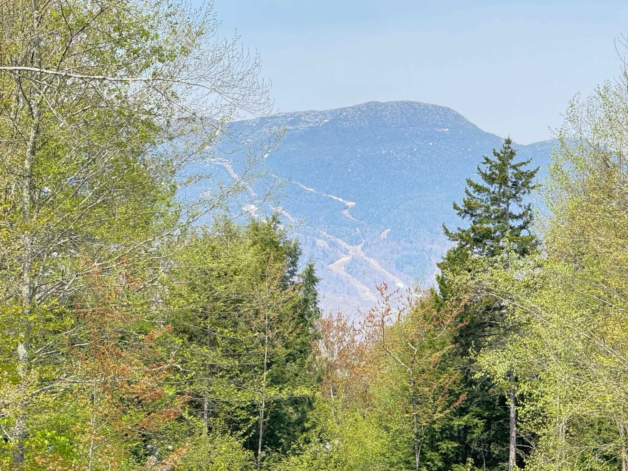 2366 mountain Road unit 3