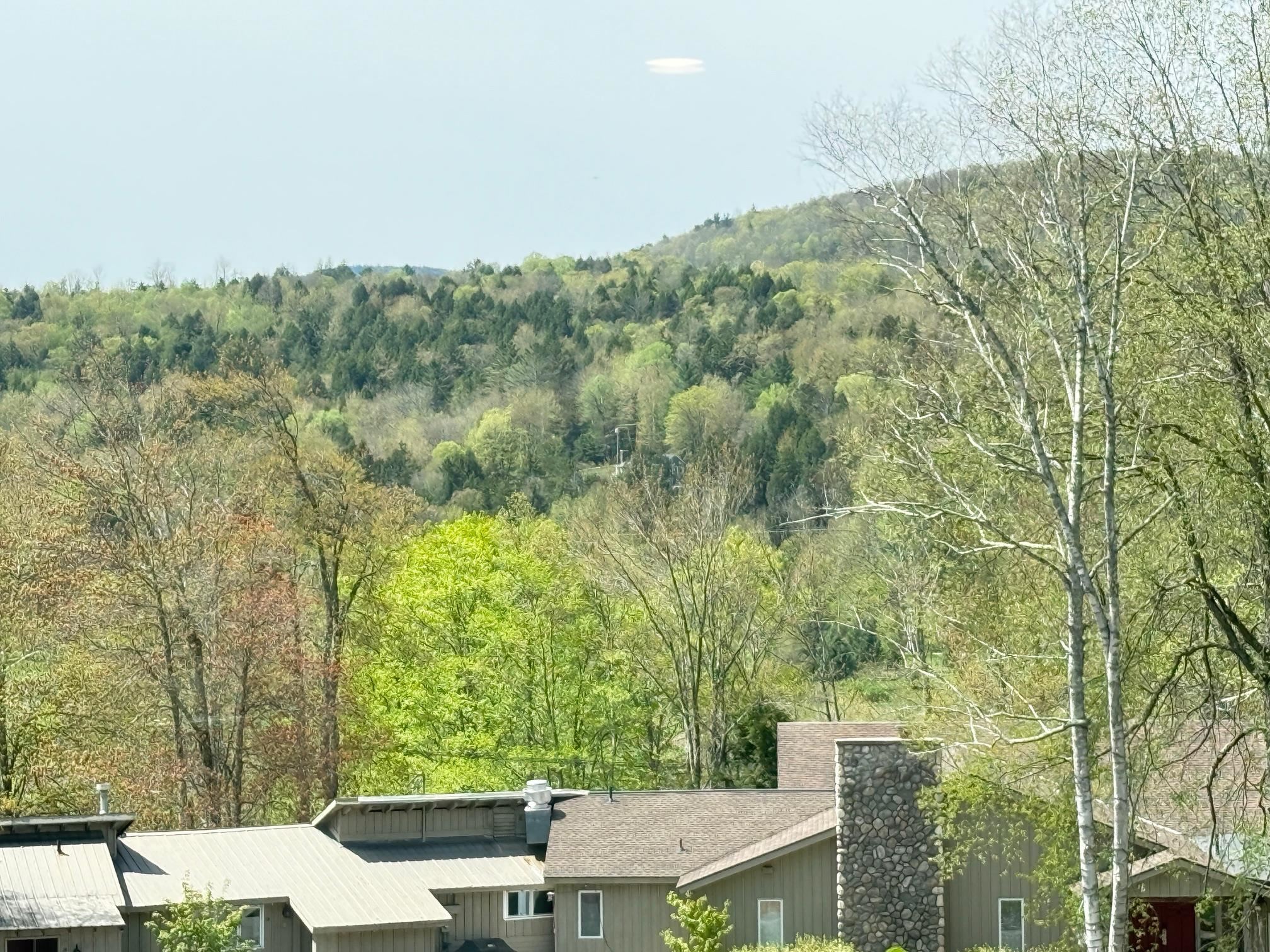 2366 mountain Road unit 3