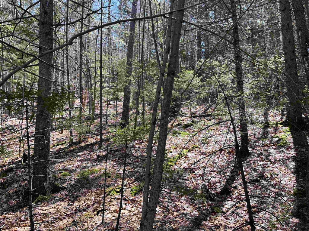 Photo of 51619 Boulder Drive, Campton, NH 03223 (MLS # 5038351)