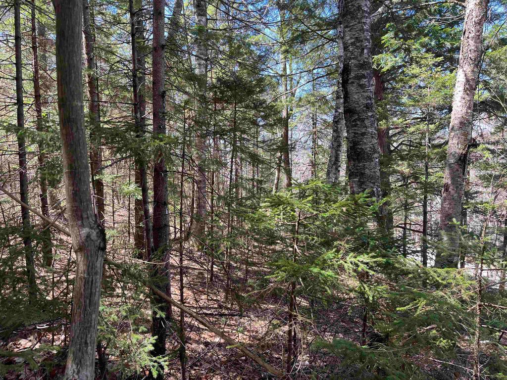 Photo of 51619 Boulder Drive, Campton, NH 03223 (MLS # 5038351)