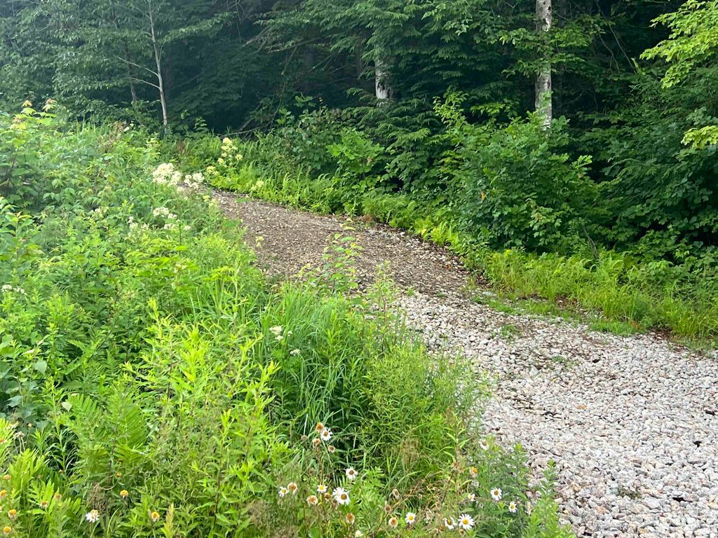 Photo of Juniper Hill Road, Stoddard, NH 03464 (MLS # 5051120)