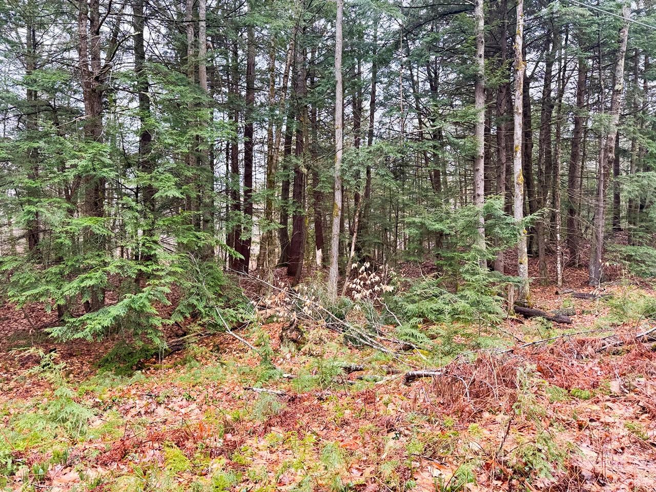 0000 Cedar Drive 10