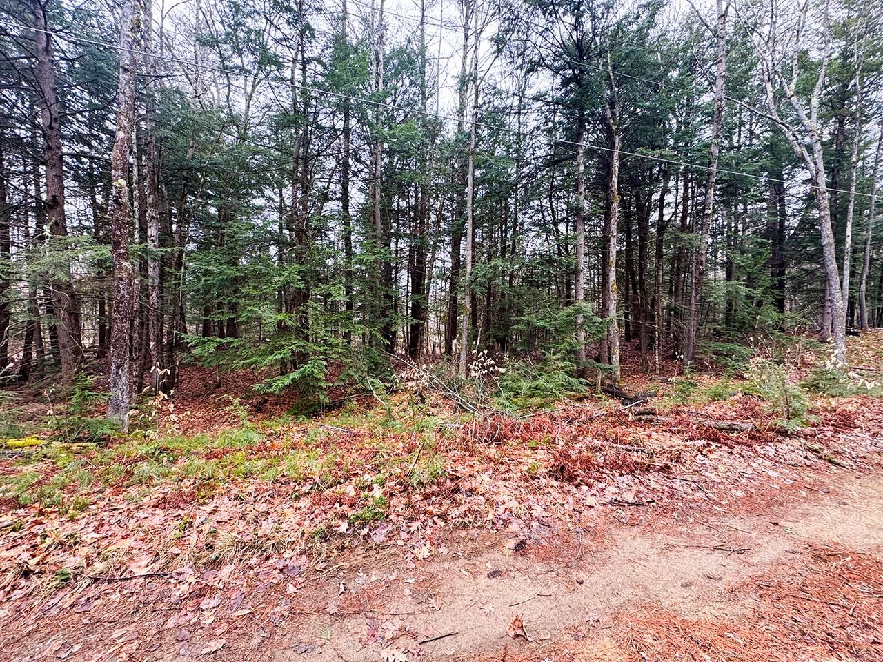 0000 Cedar Drive 11