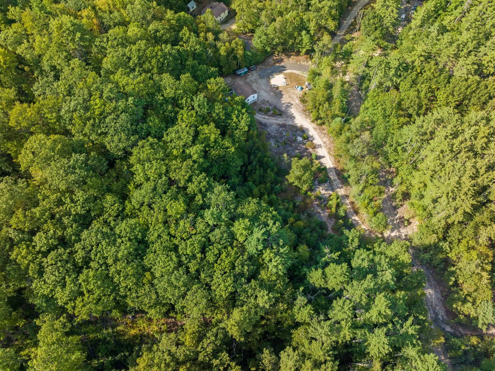 201 Beverly Hills Drive 3