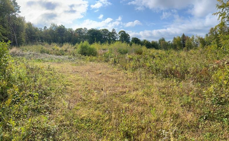 Meredith, New Hampshire 03253, United States, ,Land,Active,42561