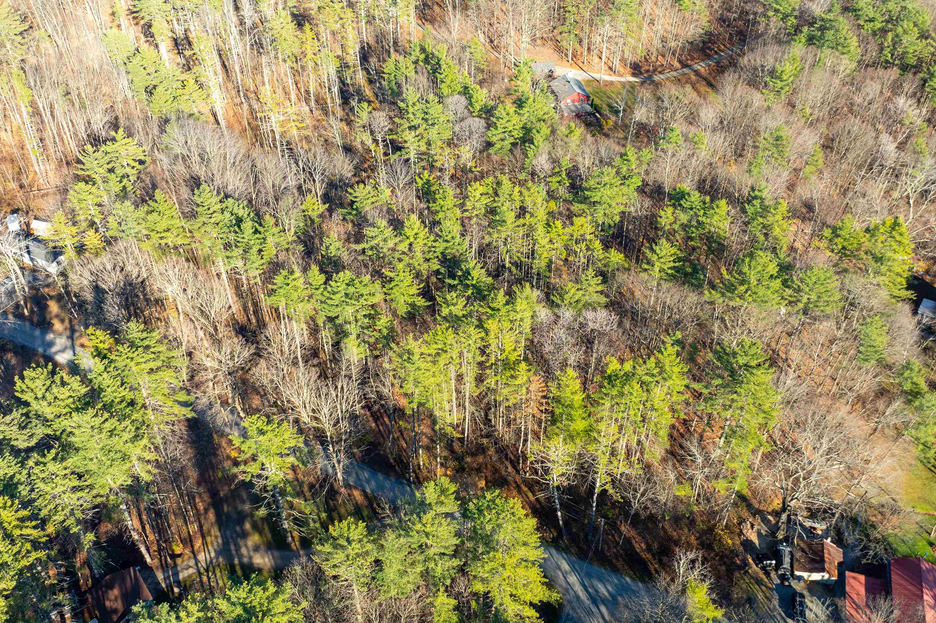 00 Red Mountain Road