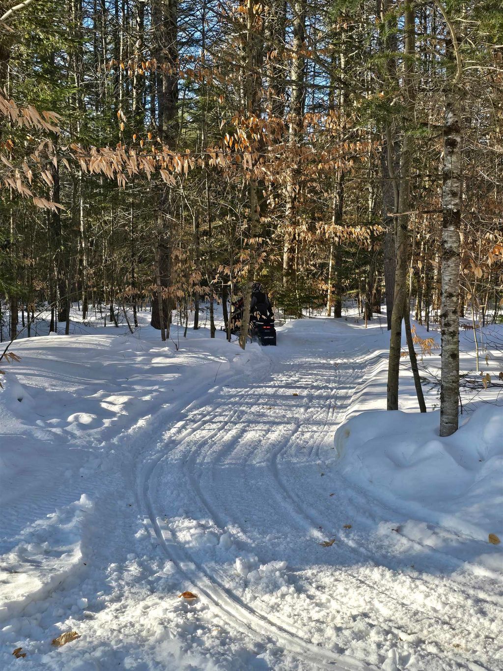 Photo of 38 Webster Road #14B, Conway, NH 03813 (MLS # 5070534)