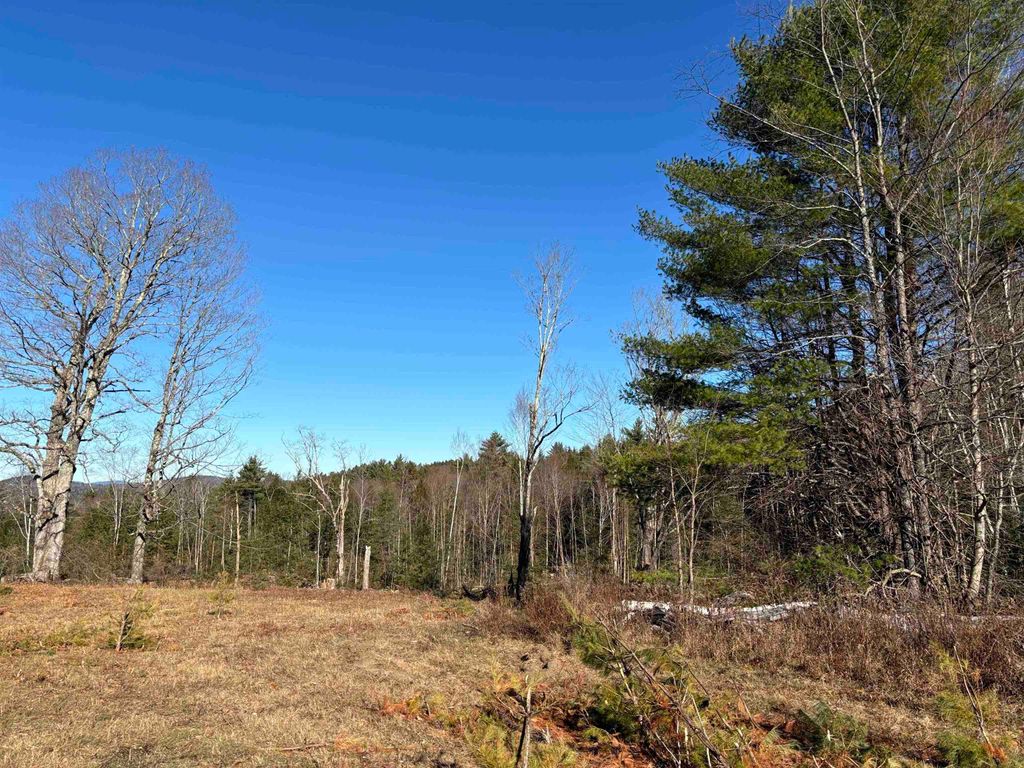 Photo of 115 Ball Park Road, Goshen, NH 03752 (MLS # 5022921)