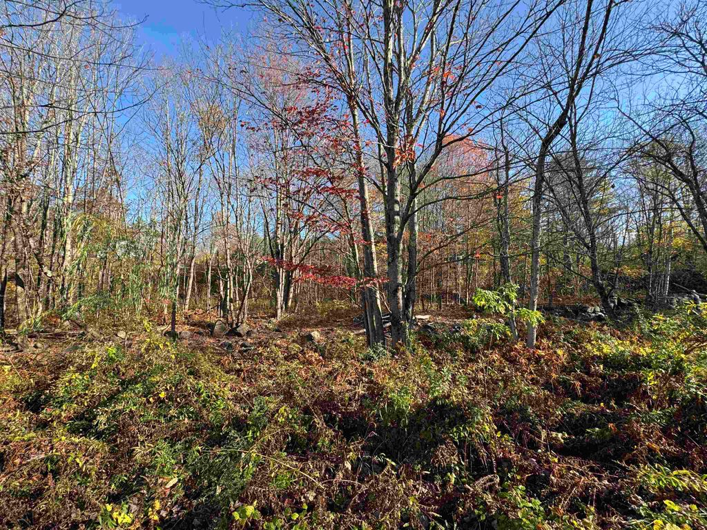 Photo of 0 Route 25C, Piermont, NH 03779 (MLS # 5079596)