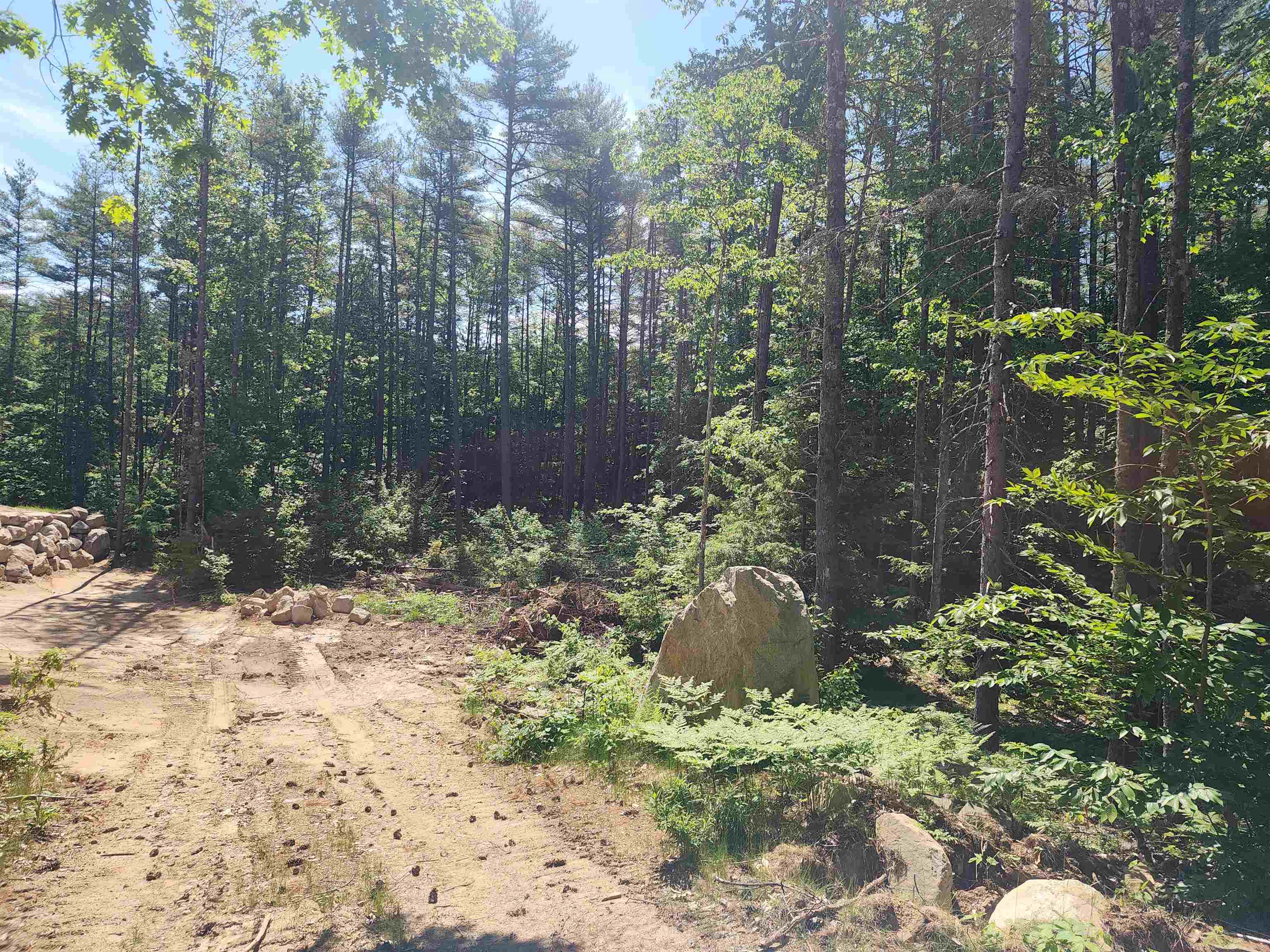 00 Tamarack Overlook 56