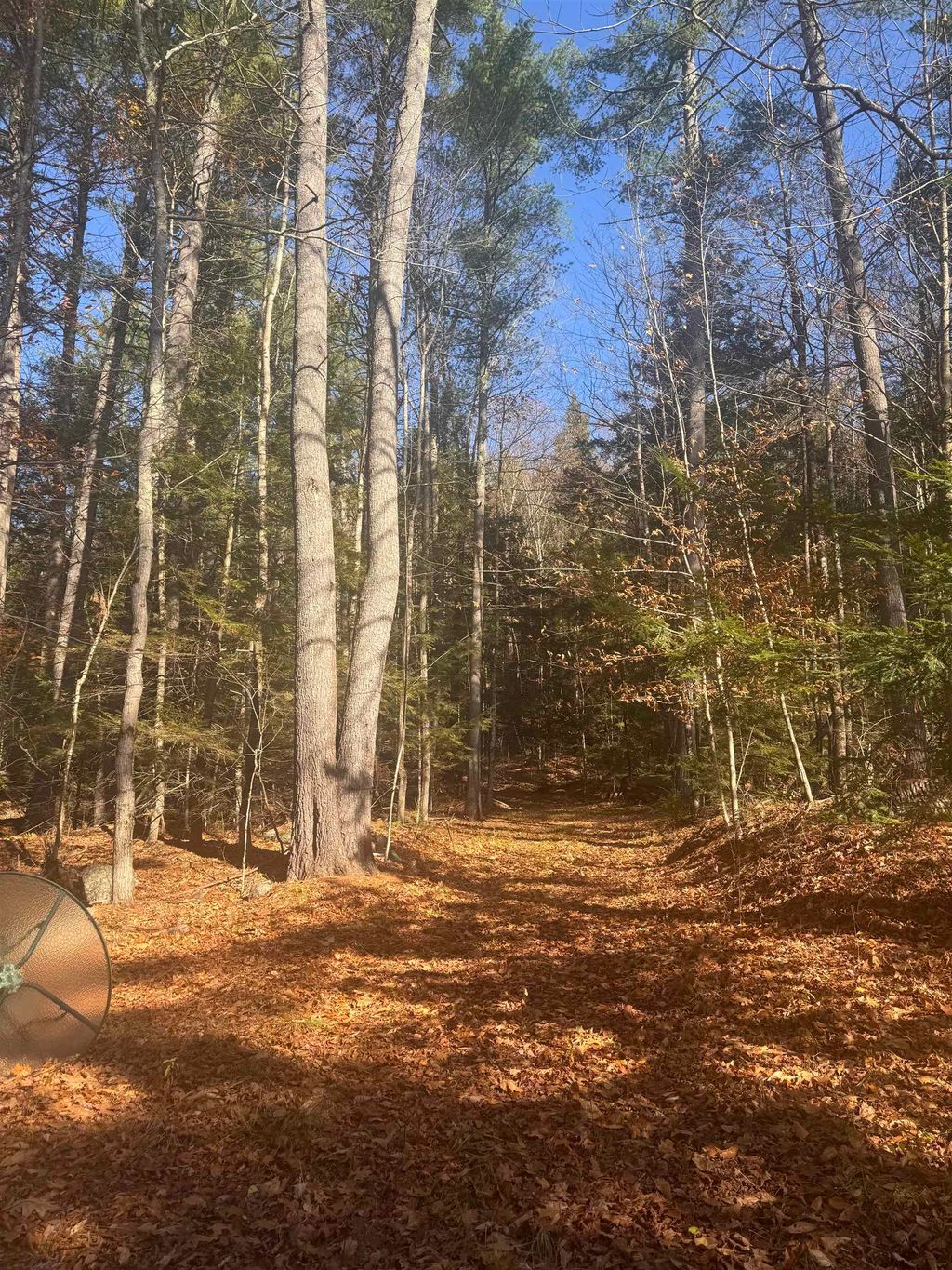 Photo of 00 Newbury Road #04-764-534, Sutton, NH 03260 (MLS # 5071421)