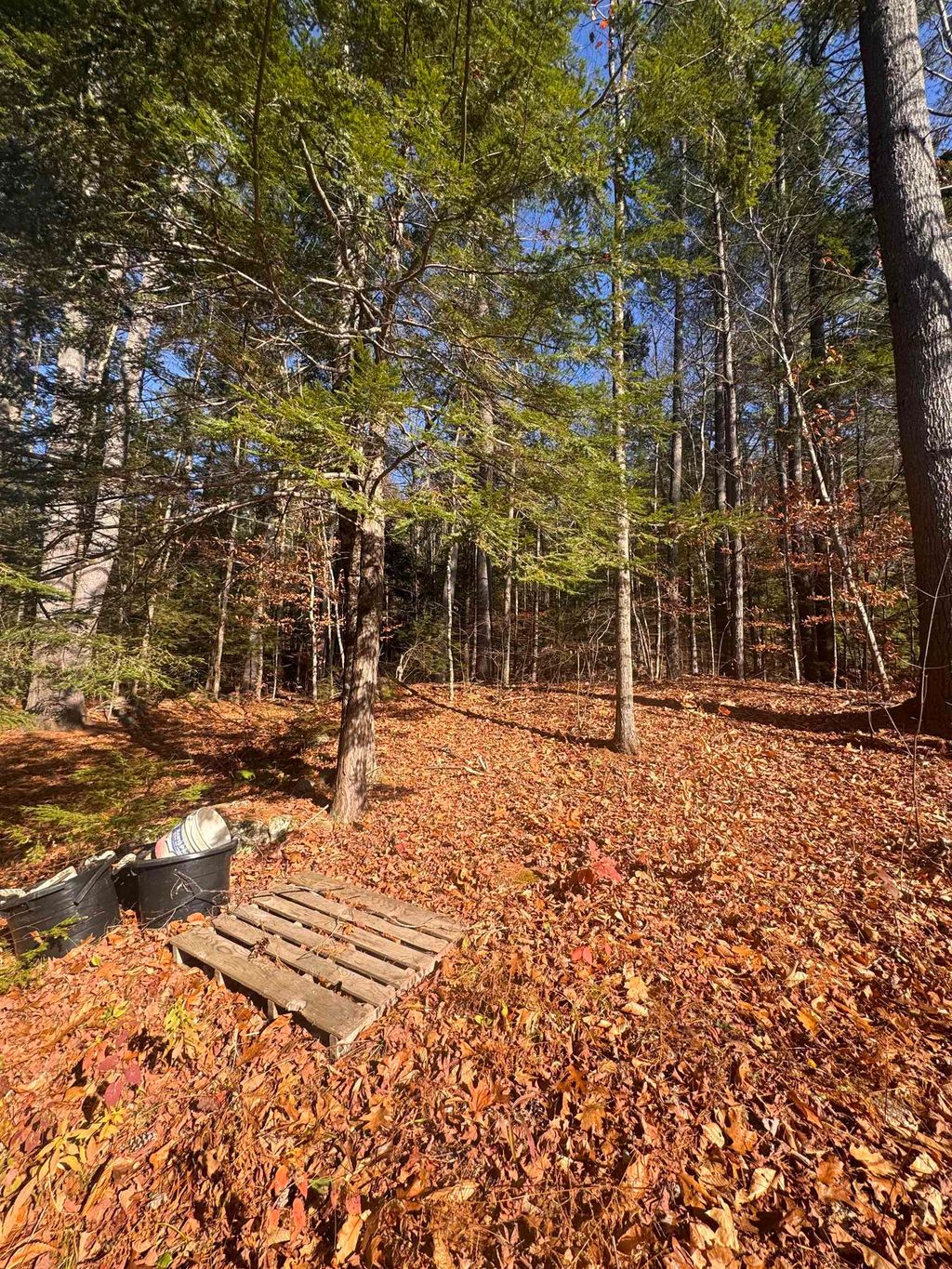 Photo of 00 Newbury Road #04-764-534, Sutton, NH 03260 (MLS # 5071421)