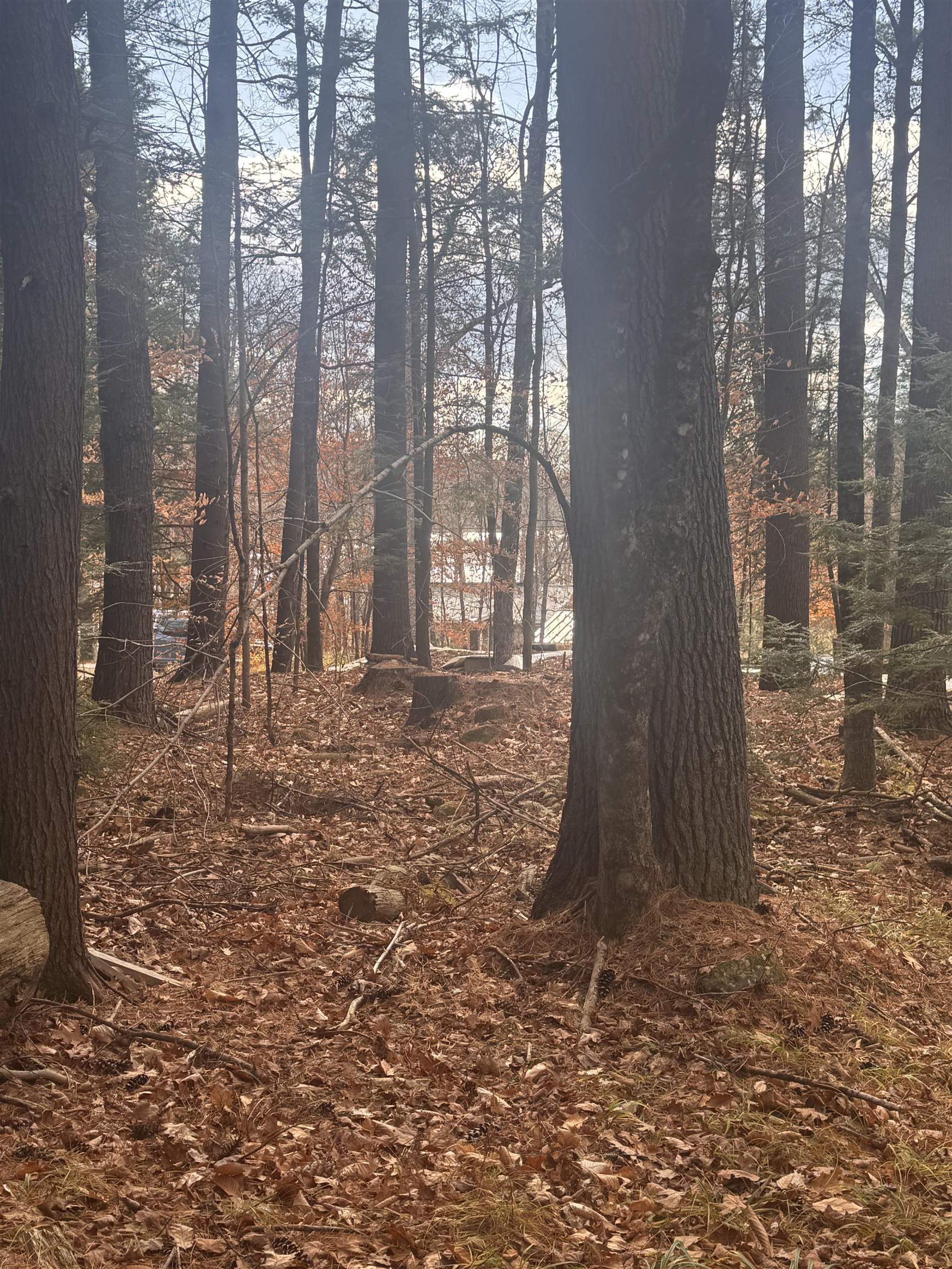 00 Newbury Road 04-764-534