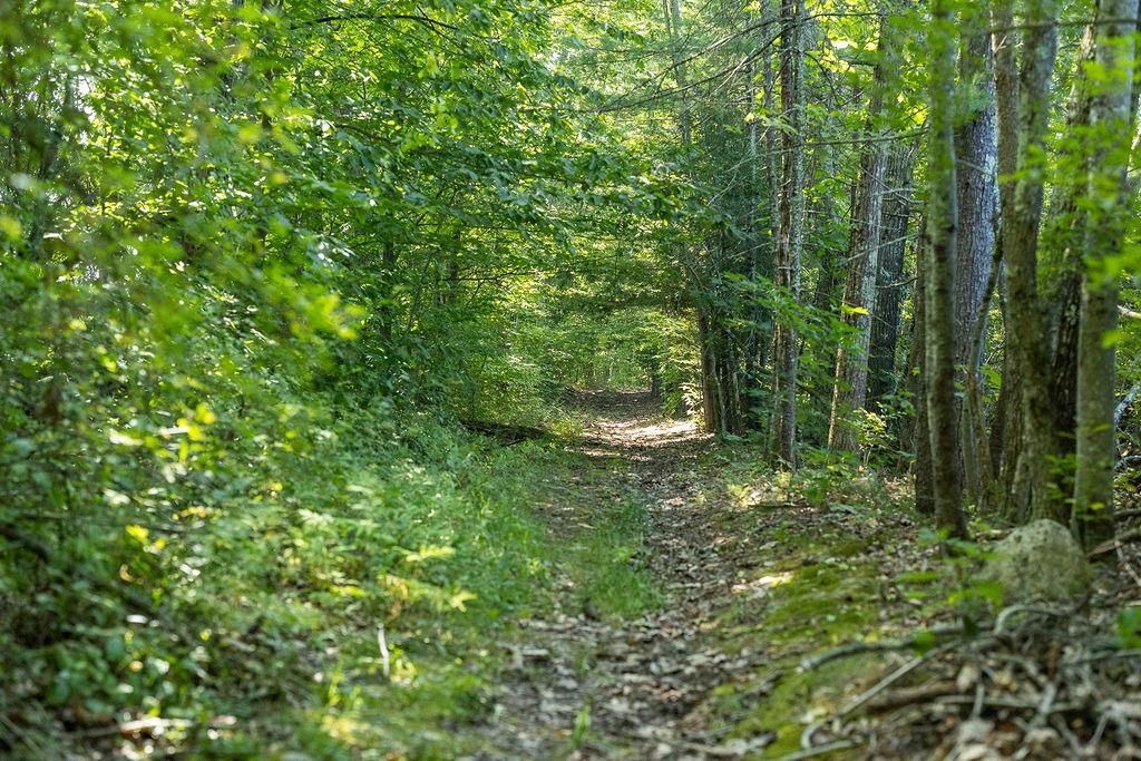 Photo of George Road, Hopkinton, NH 03229 (MLS # 5056739)