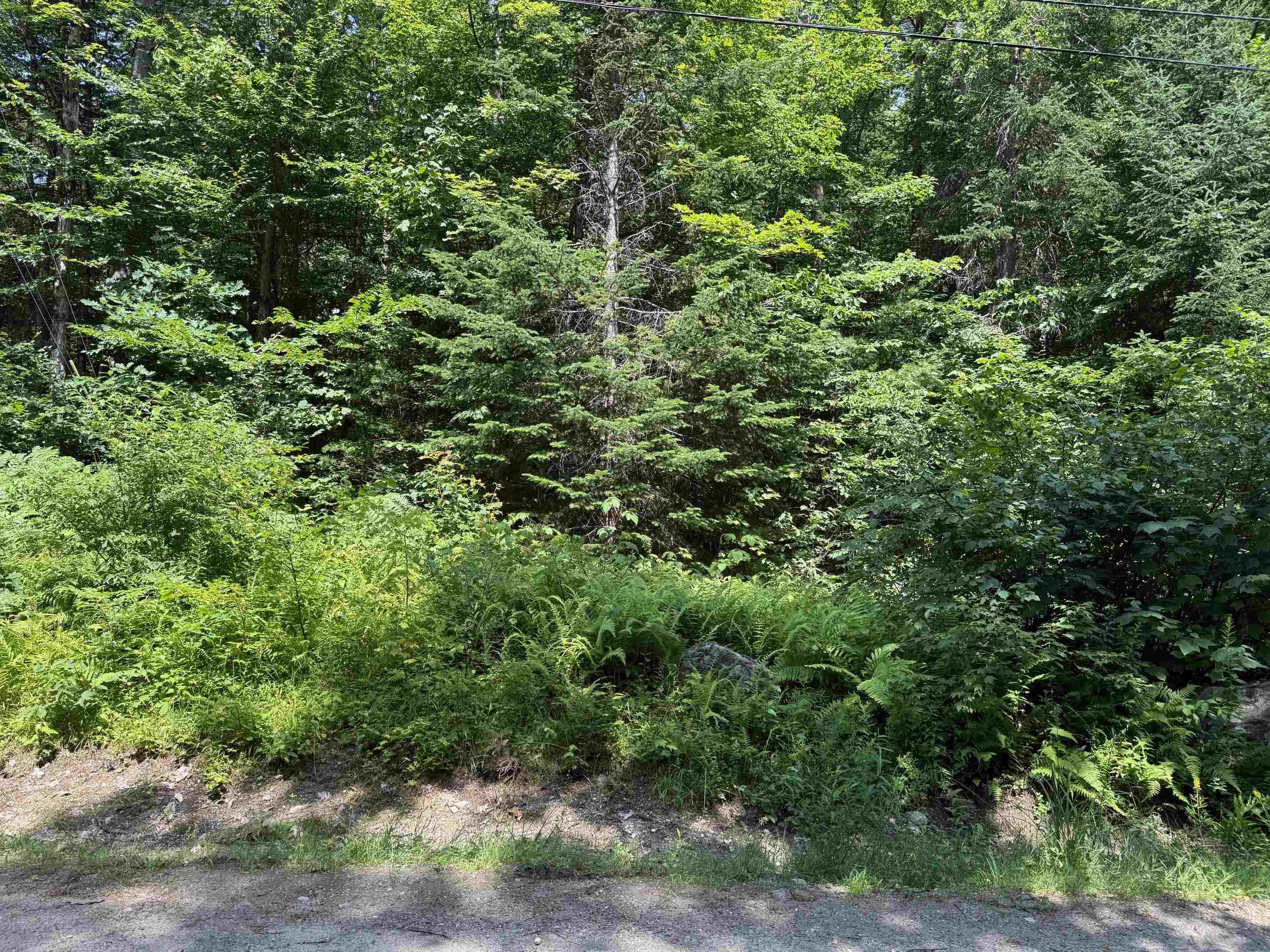 00 Loon Circle E9