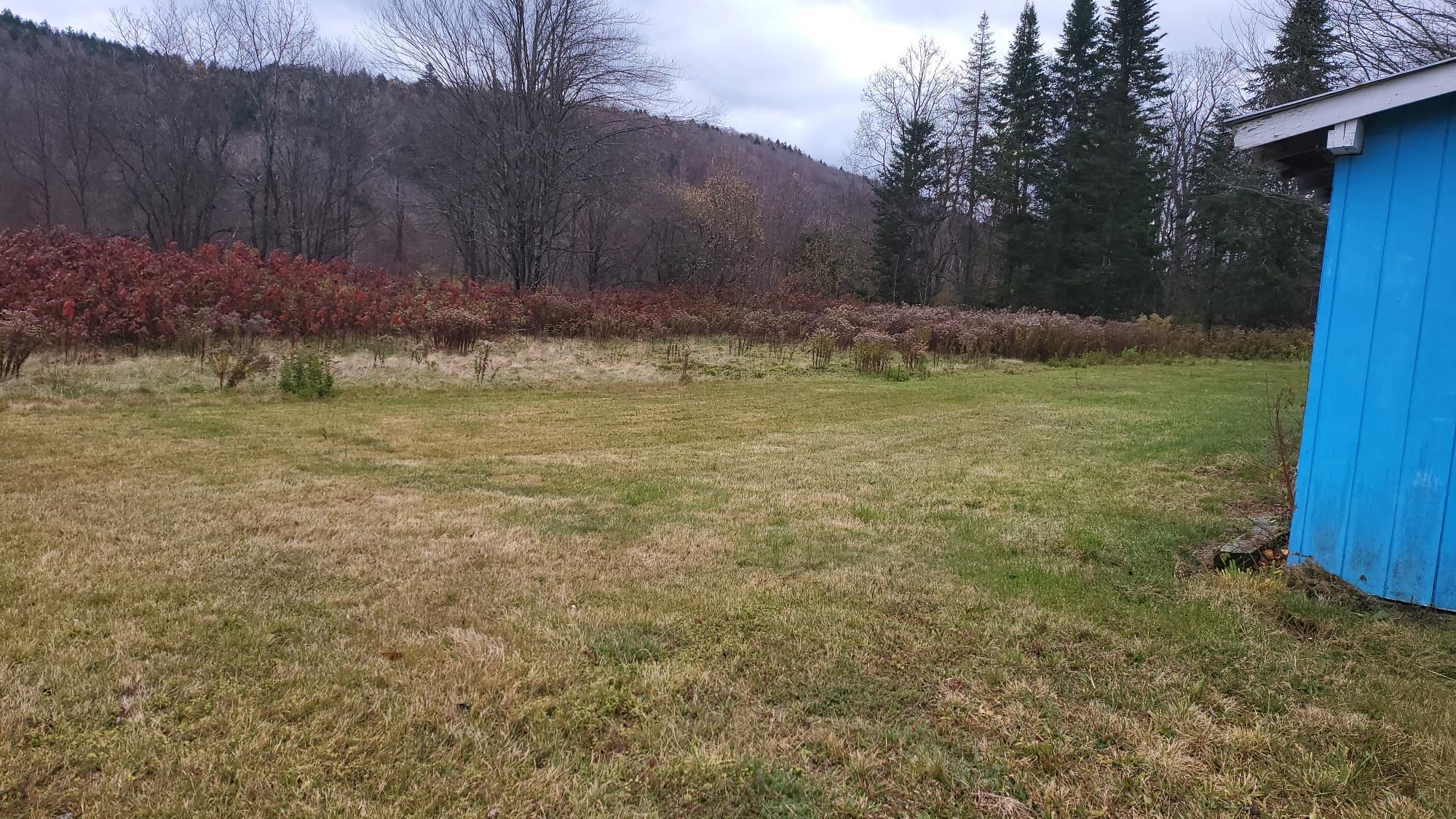 Braintree, Vermont 05060, United States, 2 Bedrooms Bedrooms, ,1 BathroomBathrooms,Residential,Active,245283