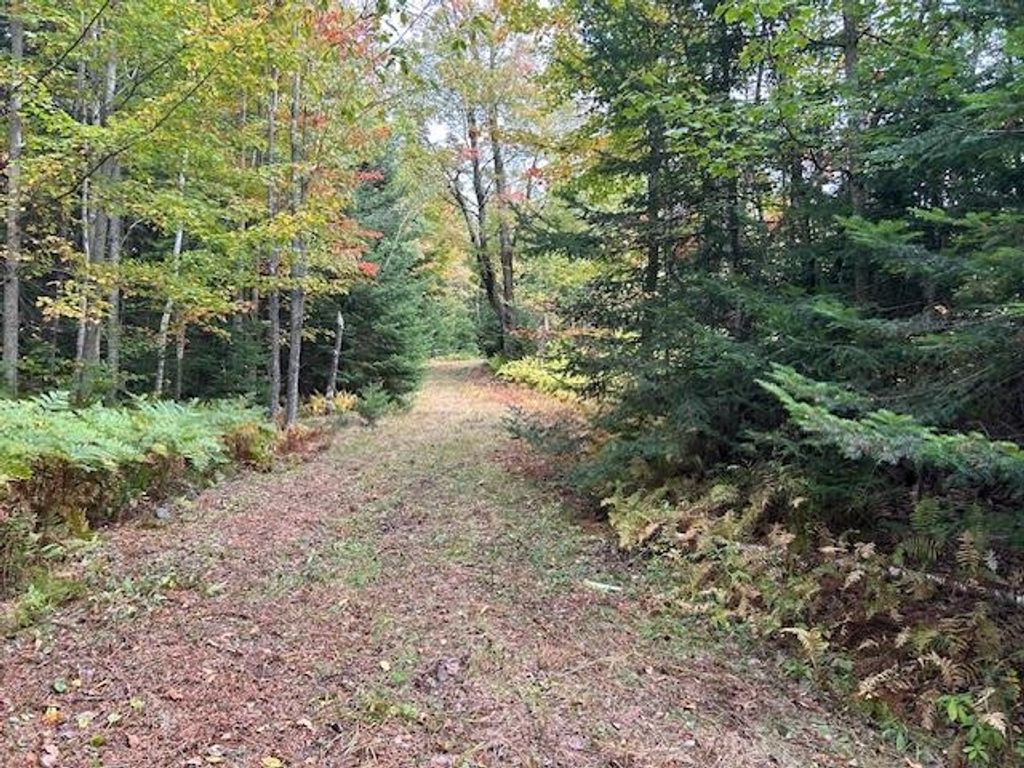 Photo of - Piper Hill Road, Colebrook, NH 03576 (MLS # 5061672)