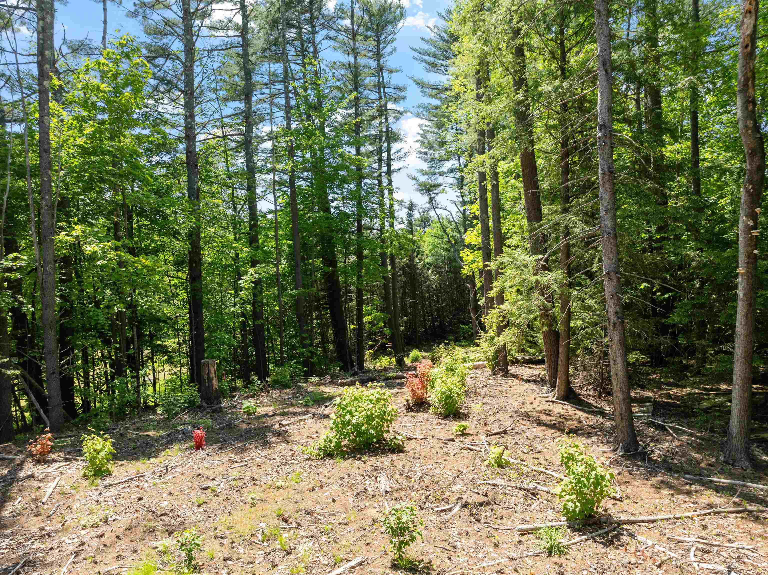 115 Adams Farm Road