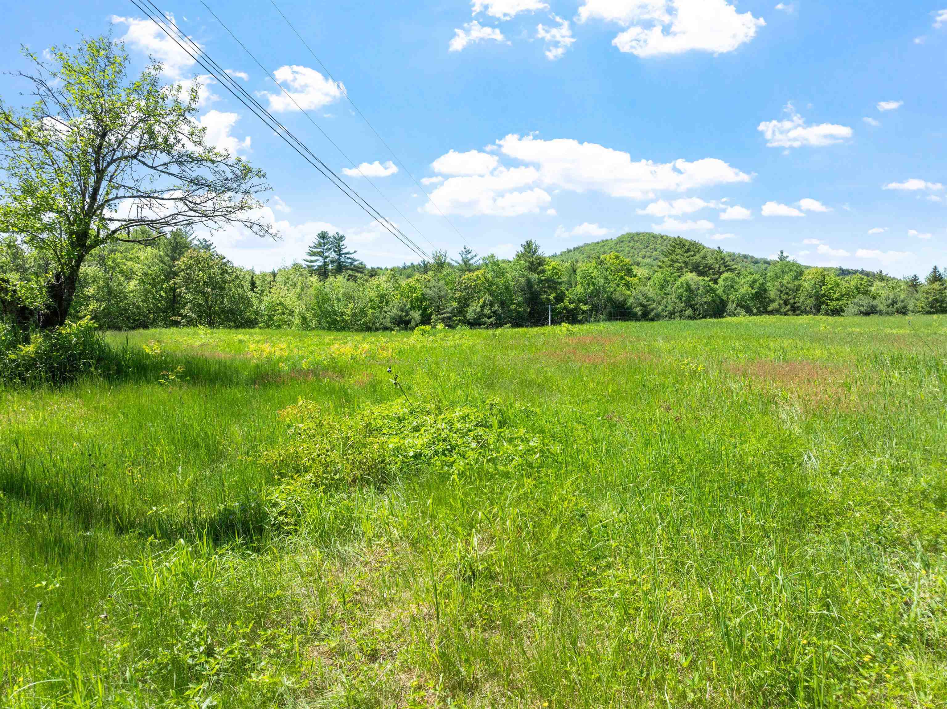 115 Adams Farm Road