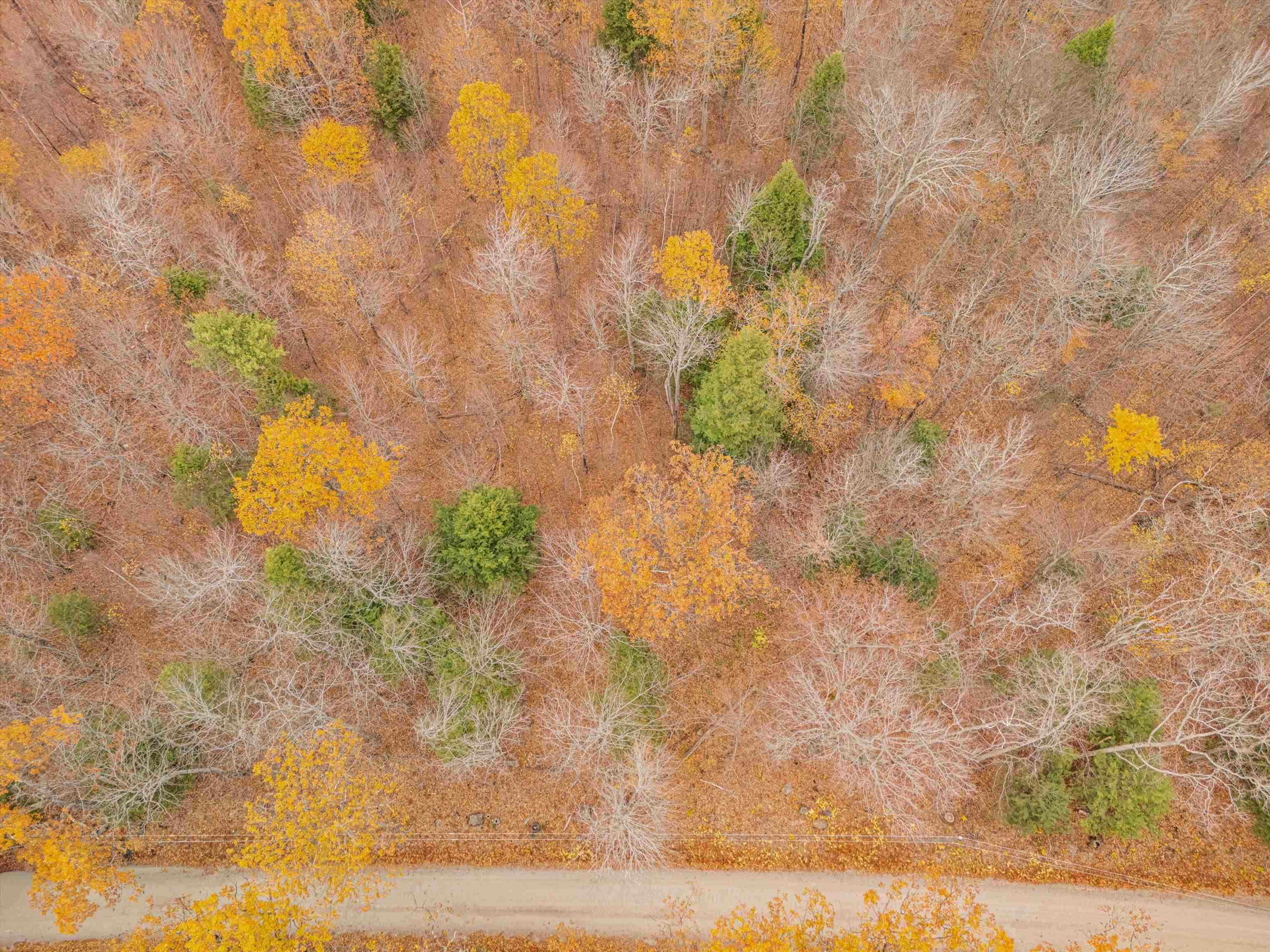 0 Bible Hill Extension