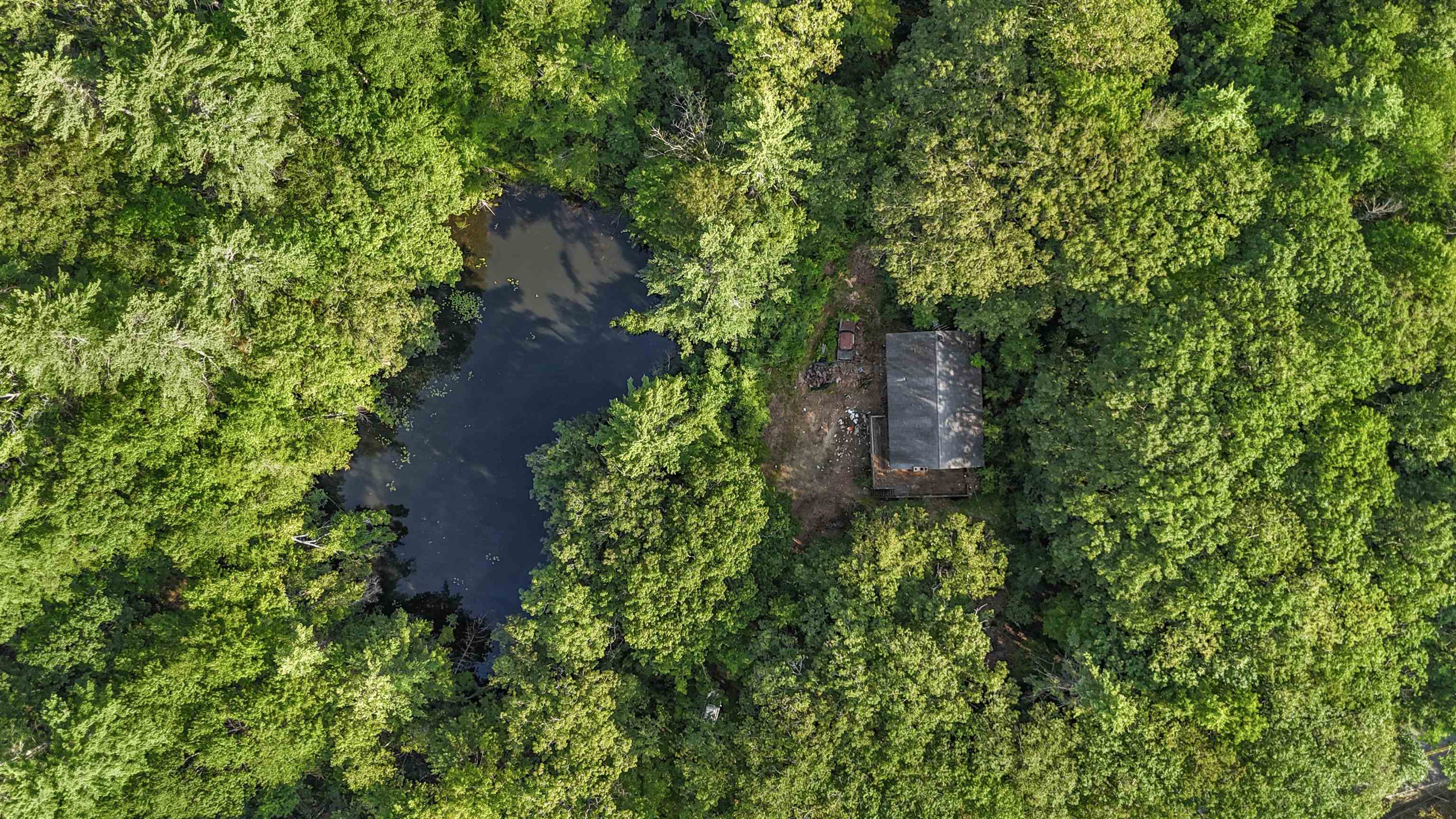 534 Forristall Road