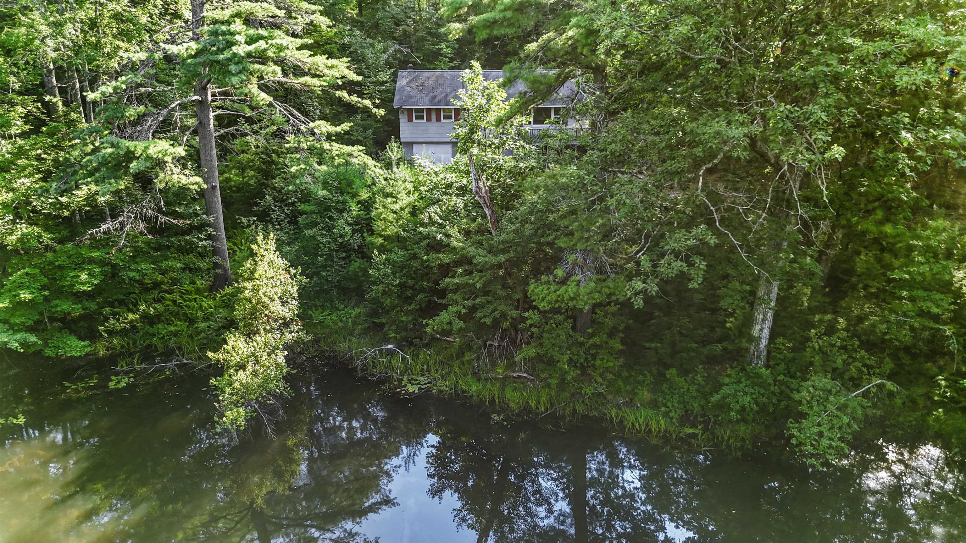 534 Forristall Road