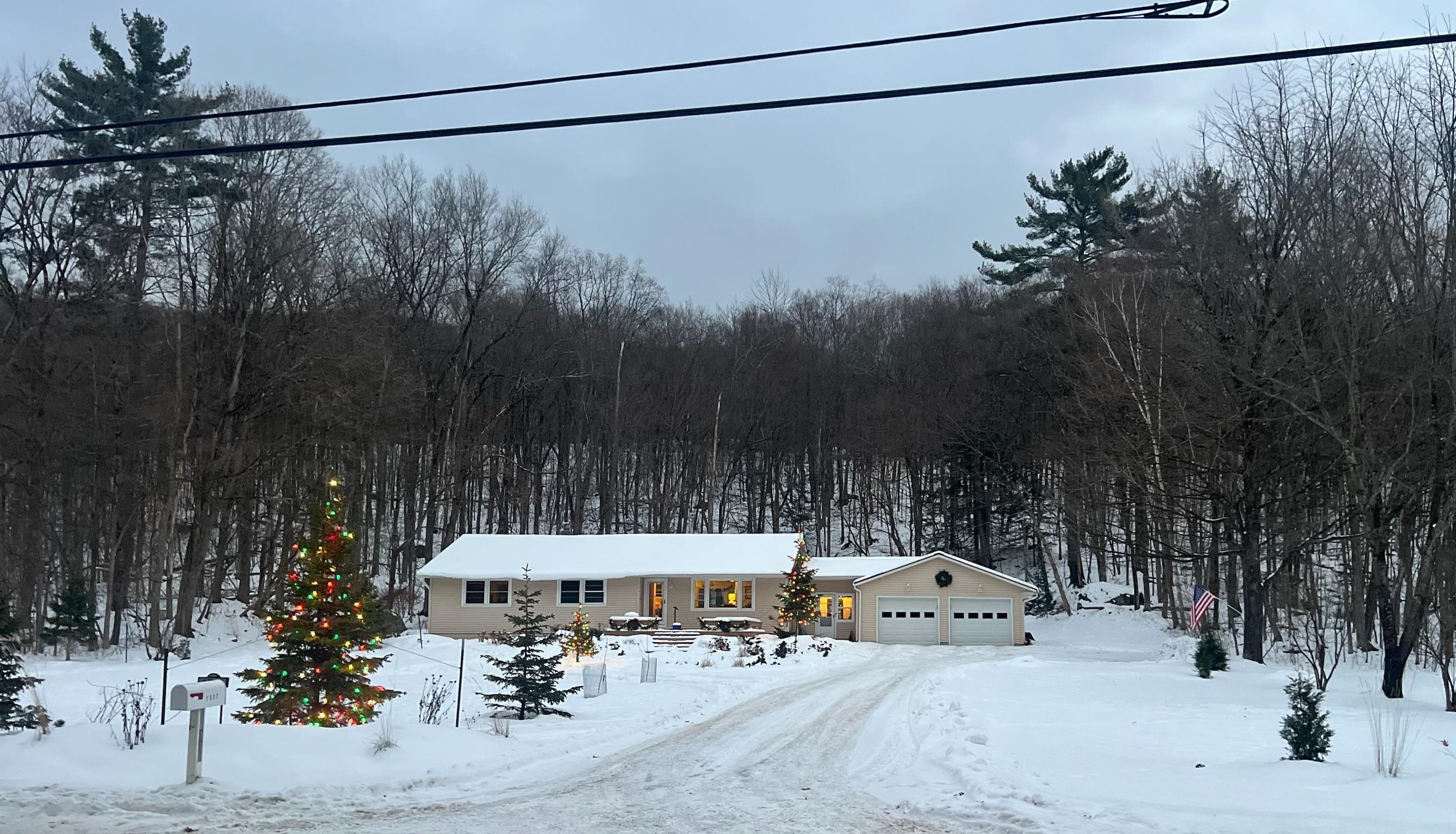 1537 Lake Dunmore Road