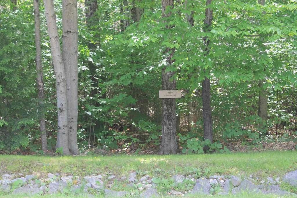 Photo of 139 South Peak Road, Lincoln, NH 03251 (MLS # 5075936)