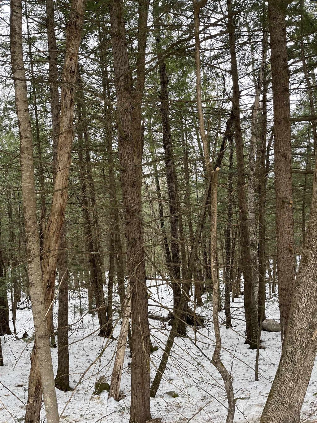 Photo of Campton, NH 03223 (MLS # 5074171)