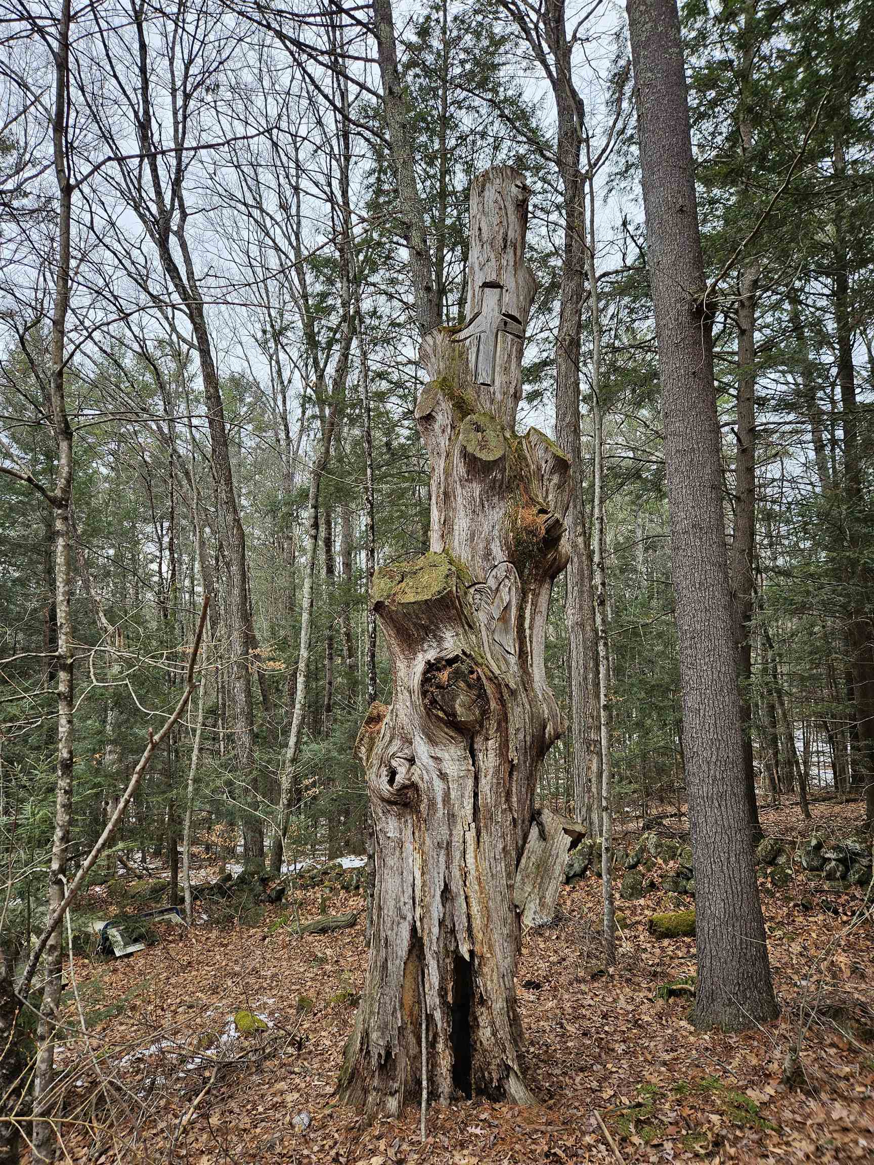 234 Old Cheshire Turnpike