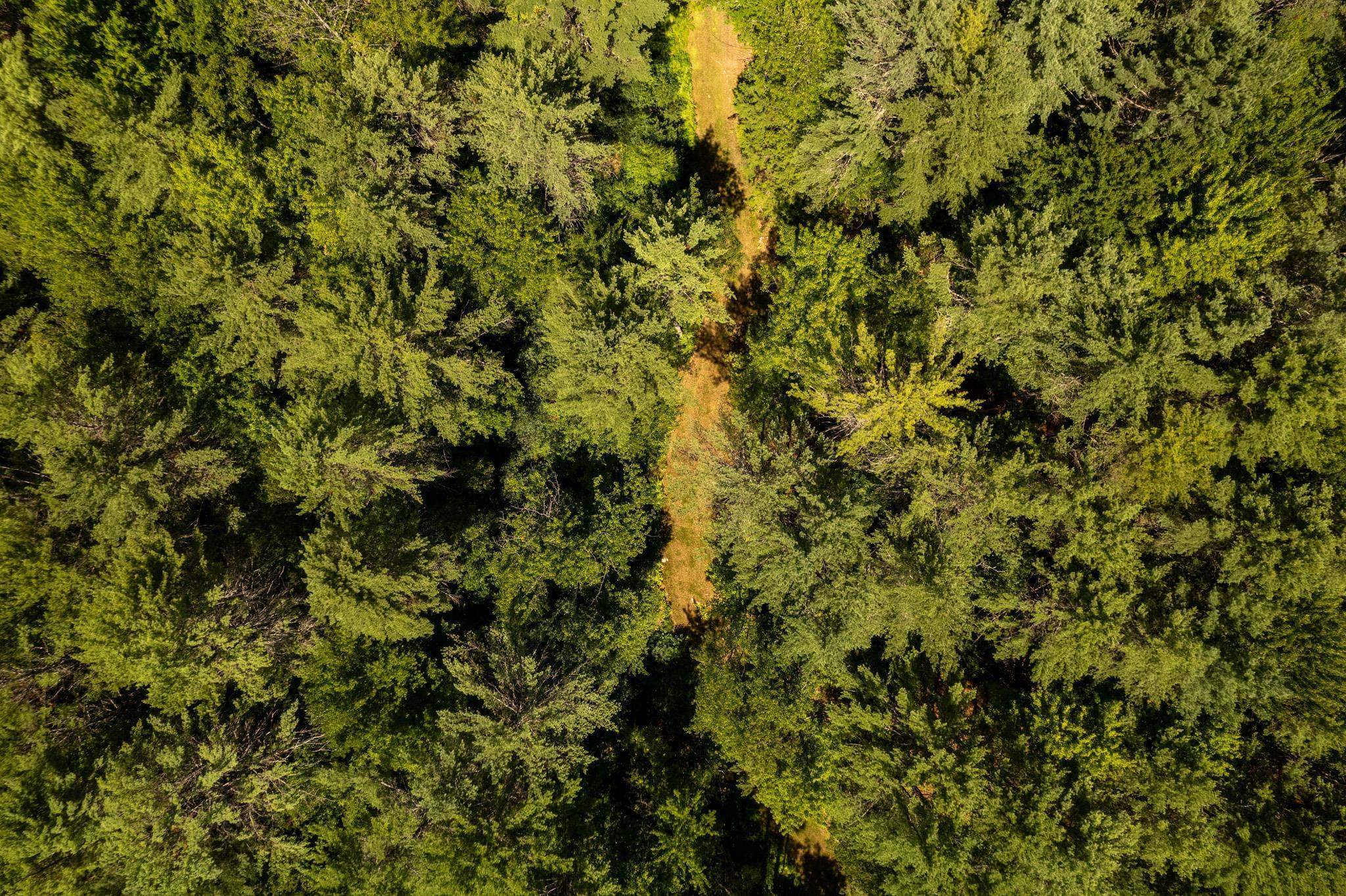 Plainfield, New Hampshire 03781, United States, ,Land,Active,220823