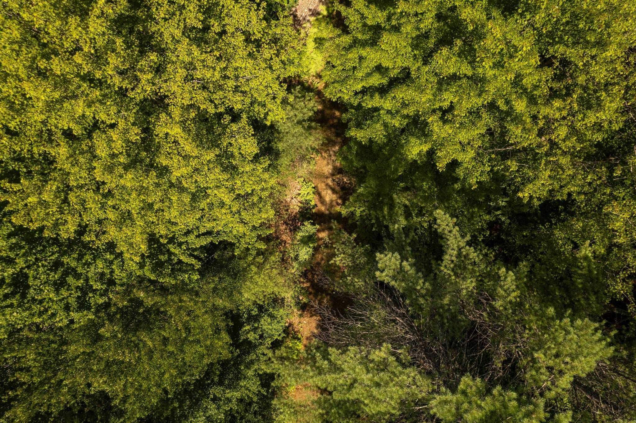 Plainfield, New Hampshire 03781, United States, ,Land,Active,220823