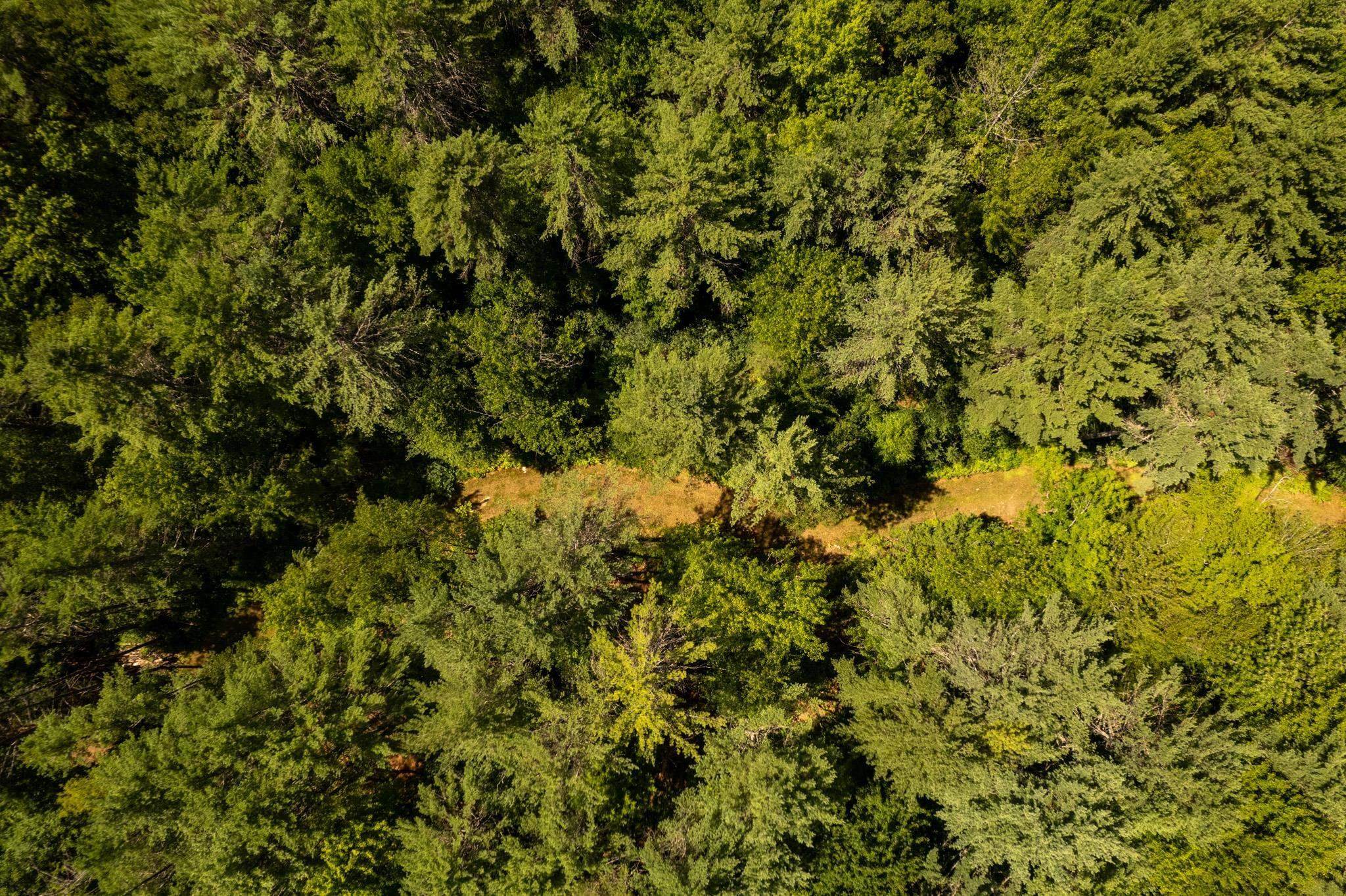 Plainfield, New Hampshire 03781, United States, ,Land,Active,220823