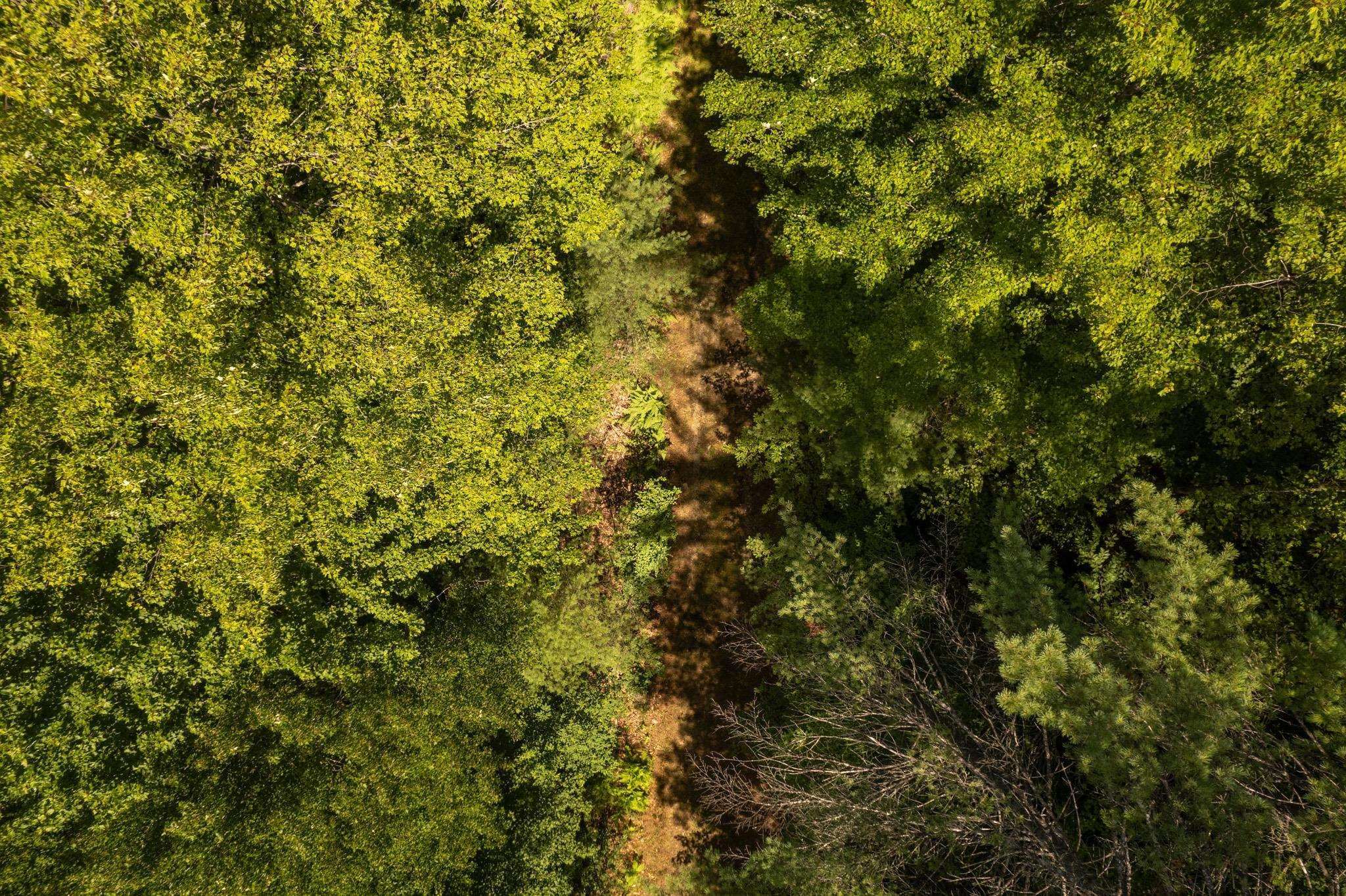 Plainfield, New Hampshire 03781, United States, ,Land,Active,220823