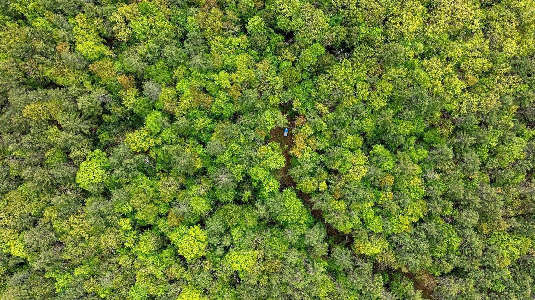 Plainfield, New Hampshire 03781, United States, ,Land,Active,220823