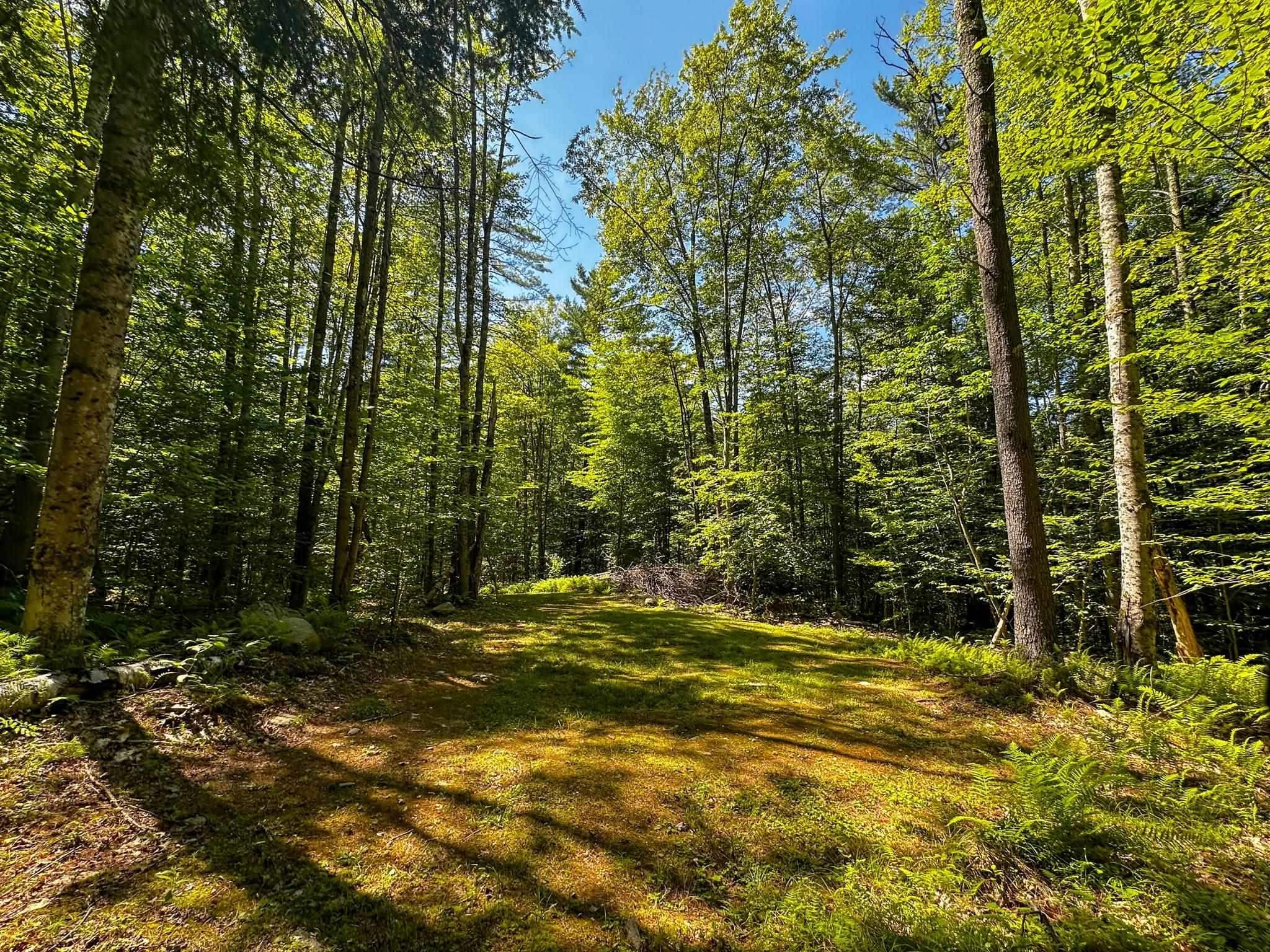 Plainfield, New Hampshire 03781, United States, ,Land,Active,220823