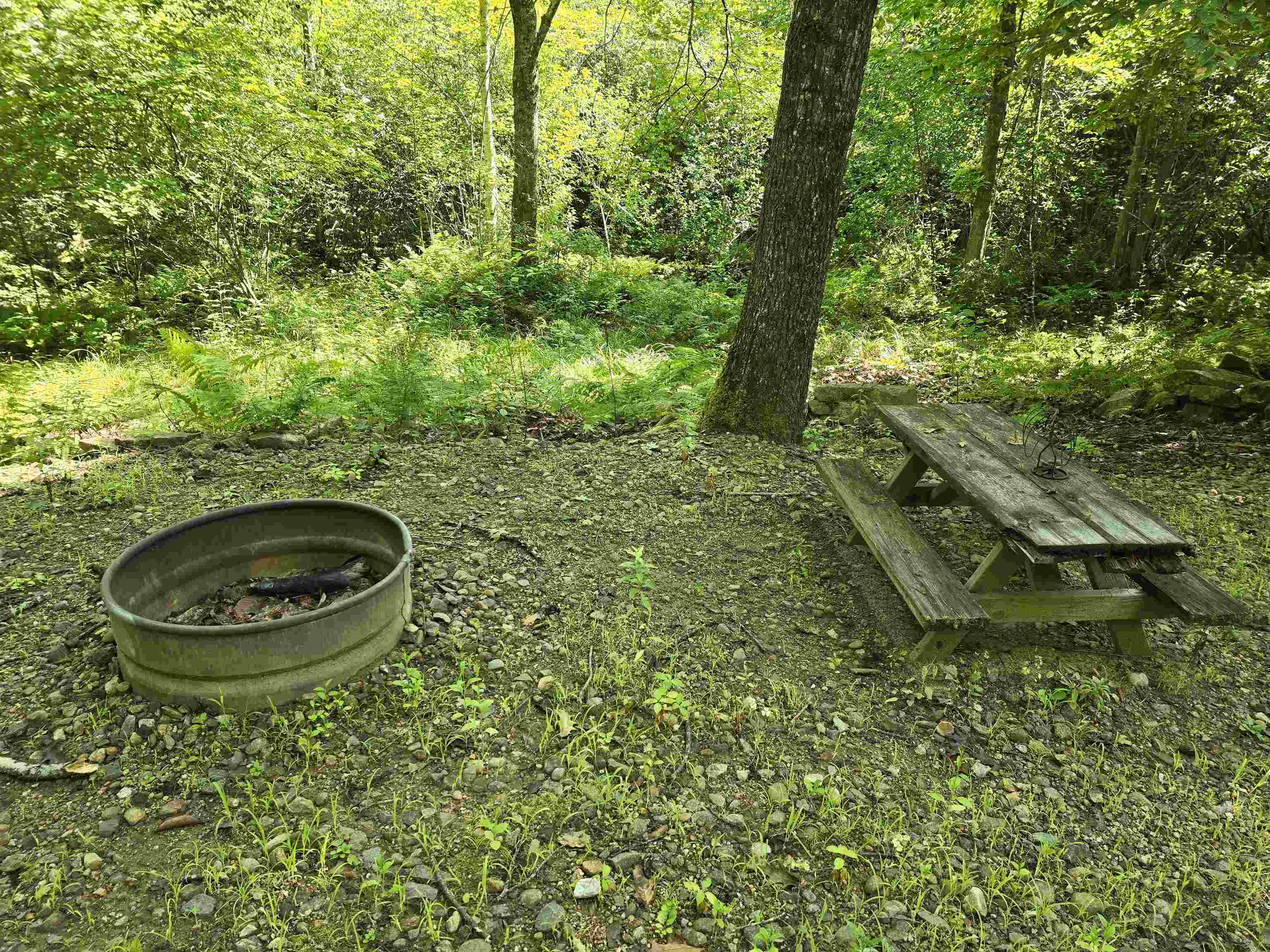 Tilton, New Hampshire 03276, United States, 1 Bedroom Bedrooms, ,Residential,Active,191249