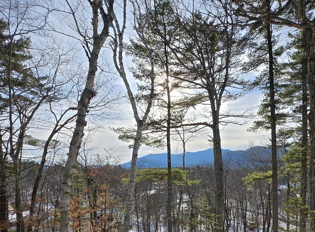 Photo of 00 Moat Mountain Circle, Bartlett, NH 03845 (MLS # 5079005)