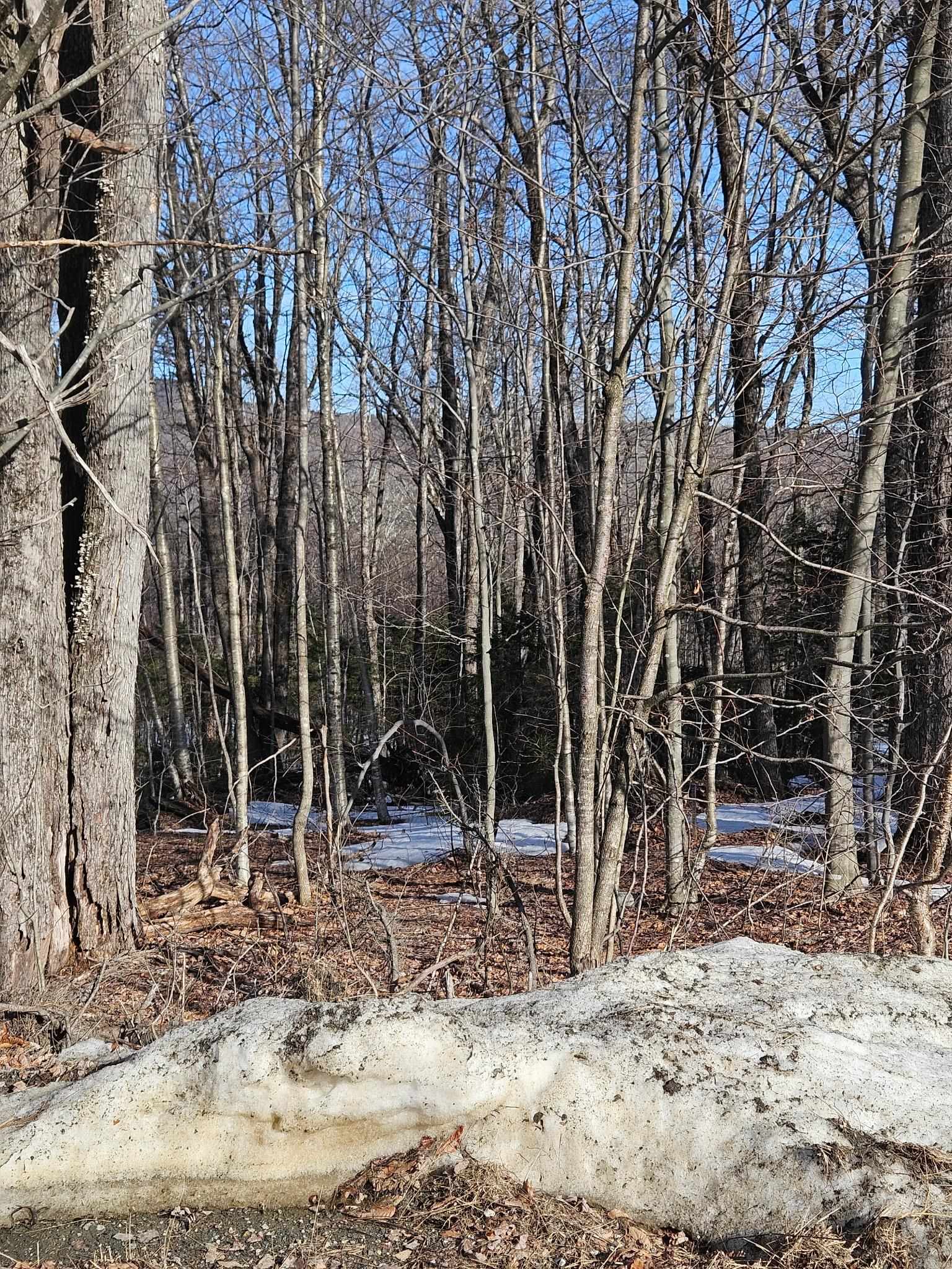 Photo 1 of 7 — 2 Johnson Hill, Dover, VT 05356