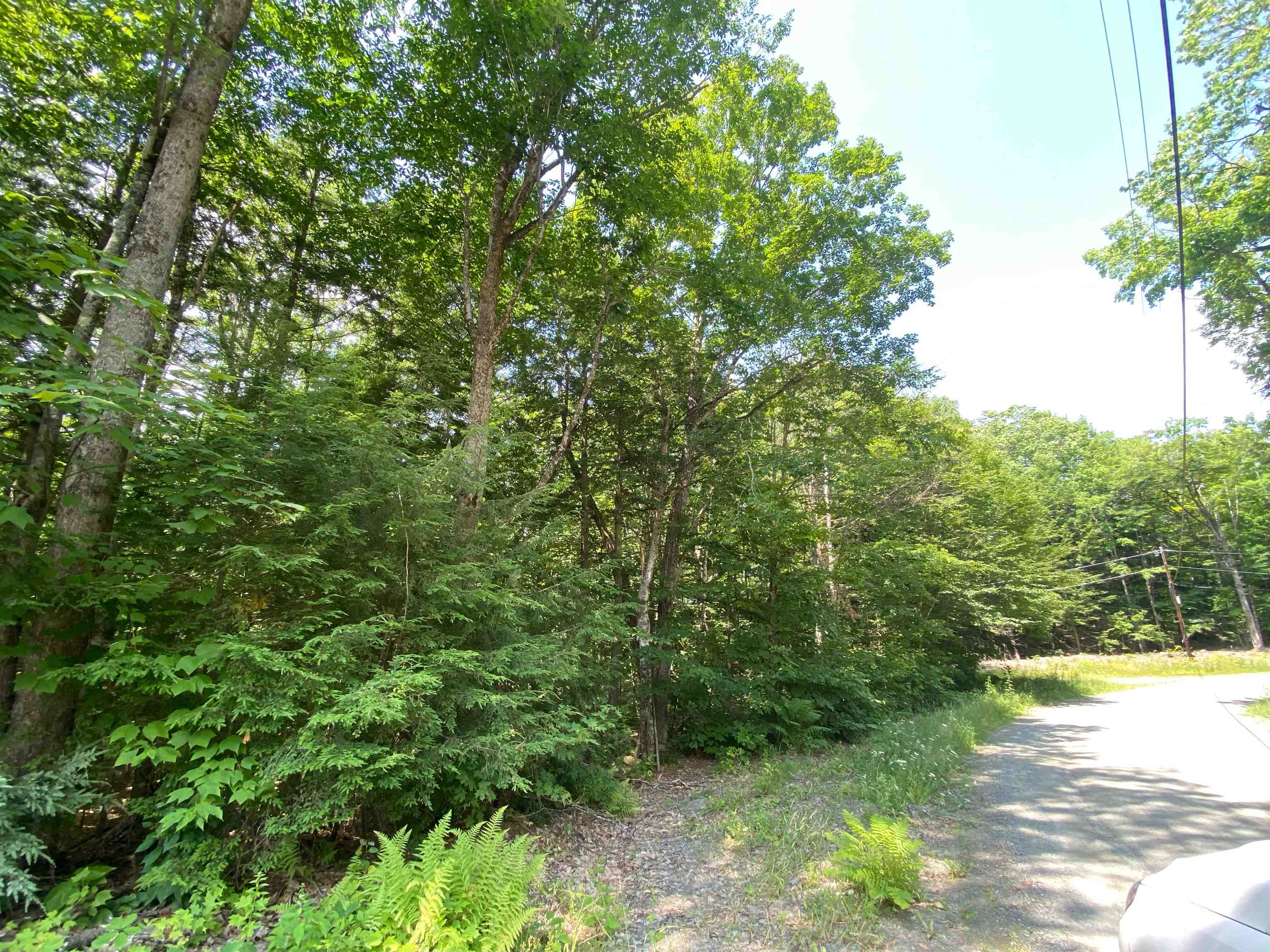 Tyler Way 34