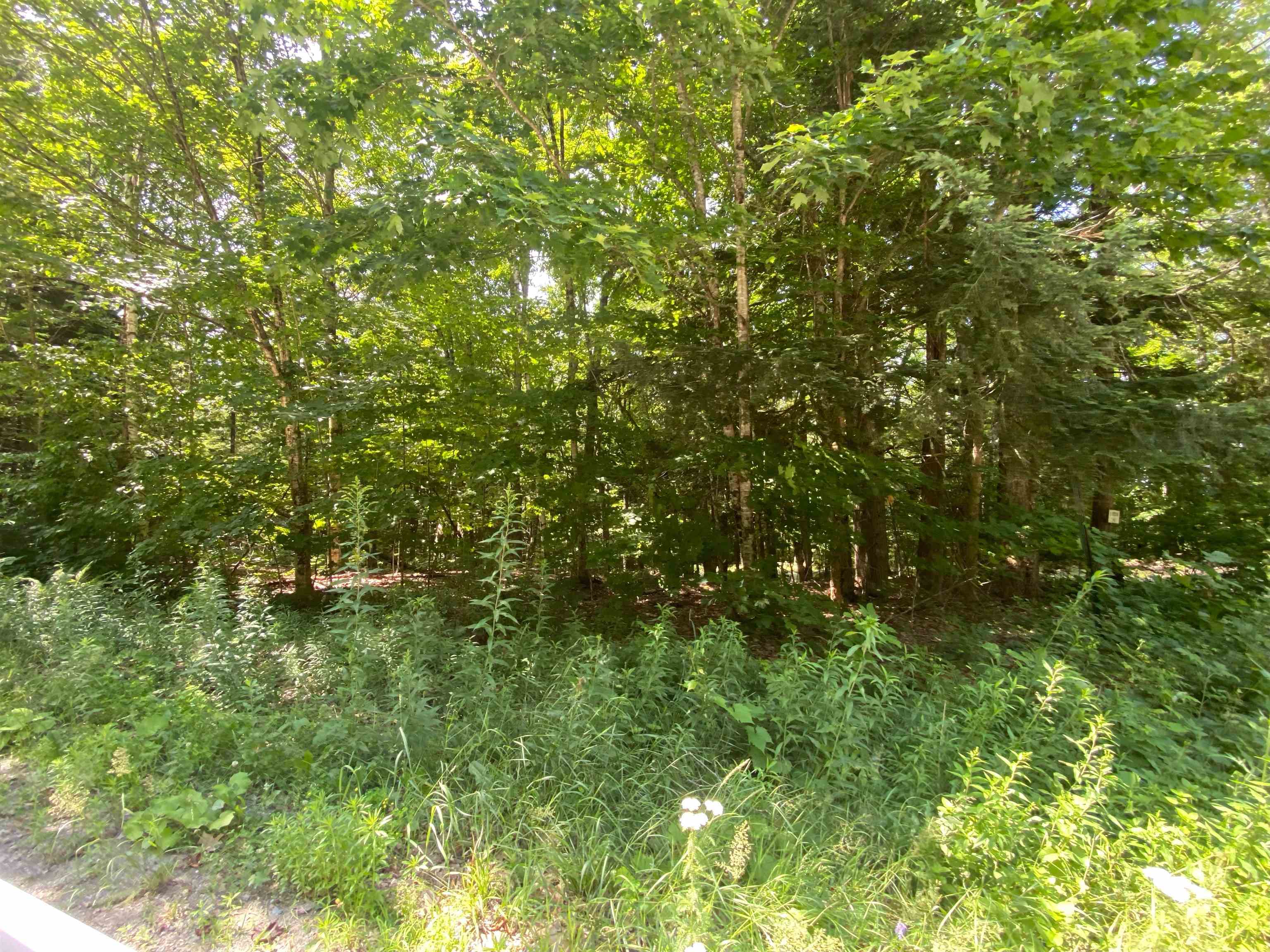 Tyler Way 34