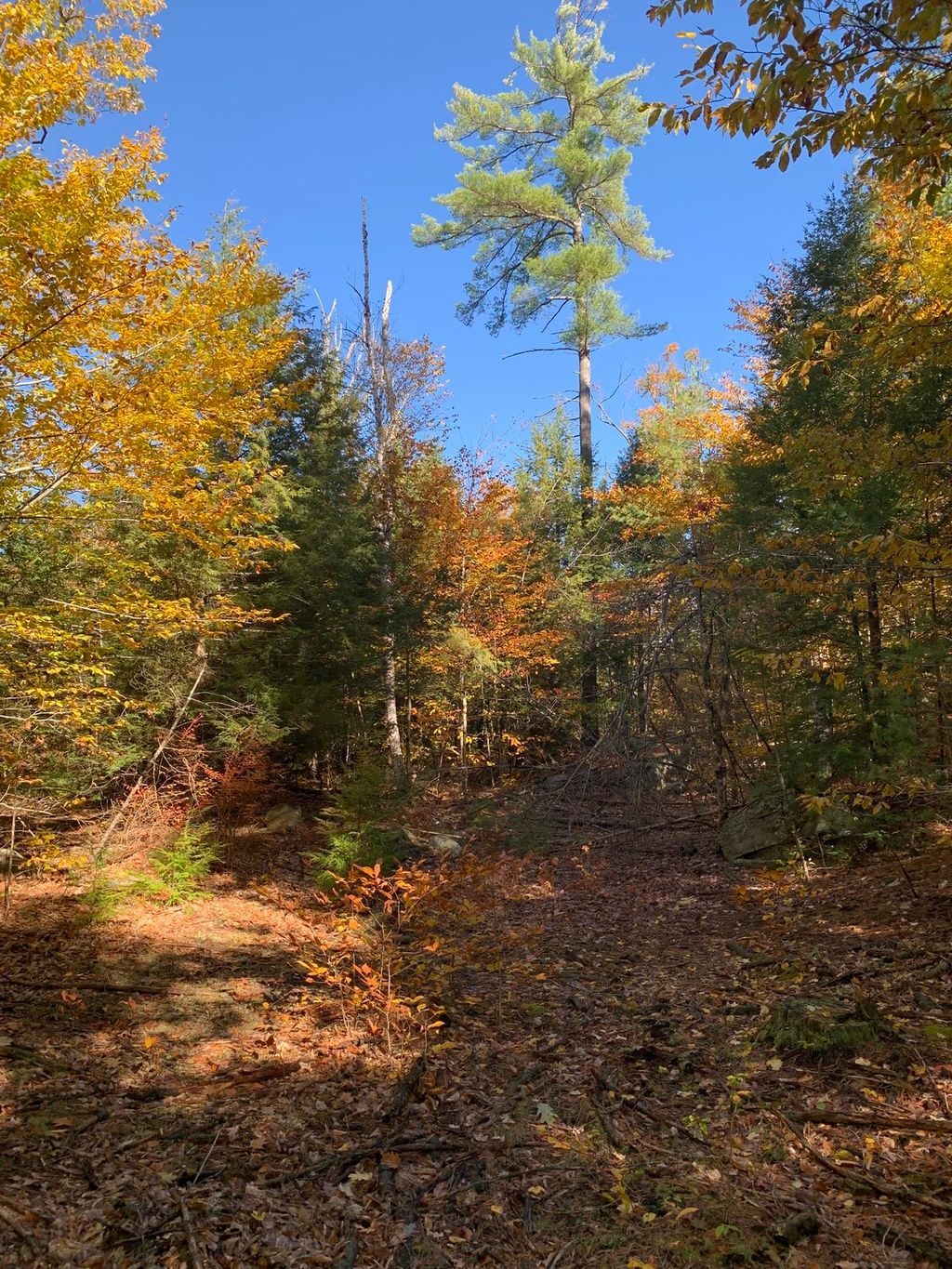 Photo of 2 Journeys End Road, Francestown, NH 03043 (MLS # 5066861)