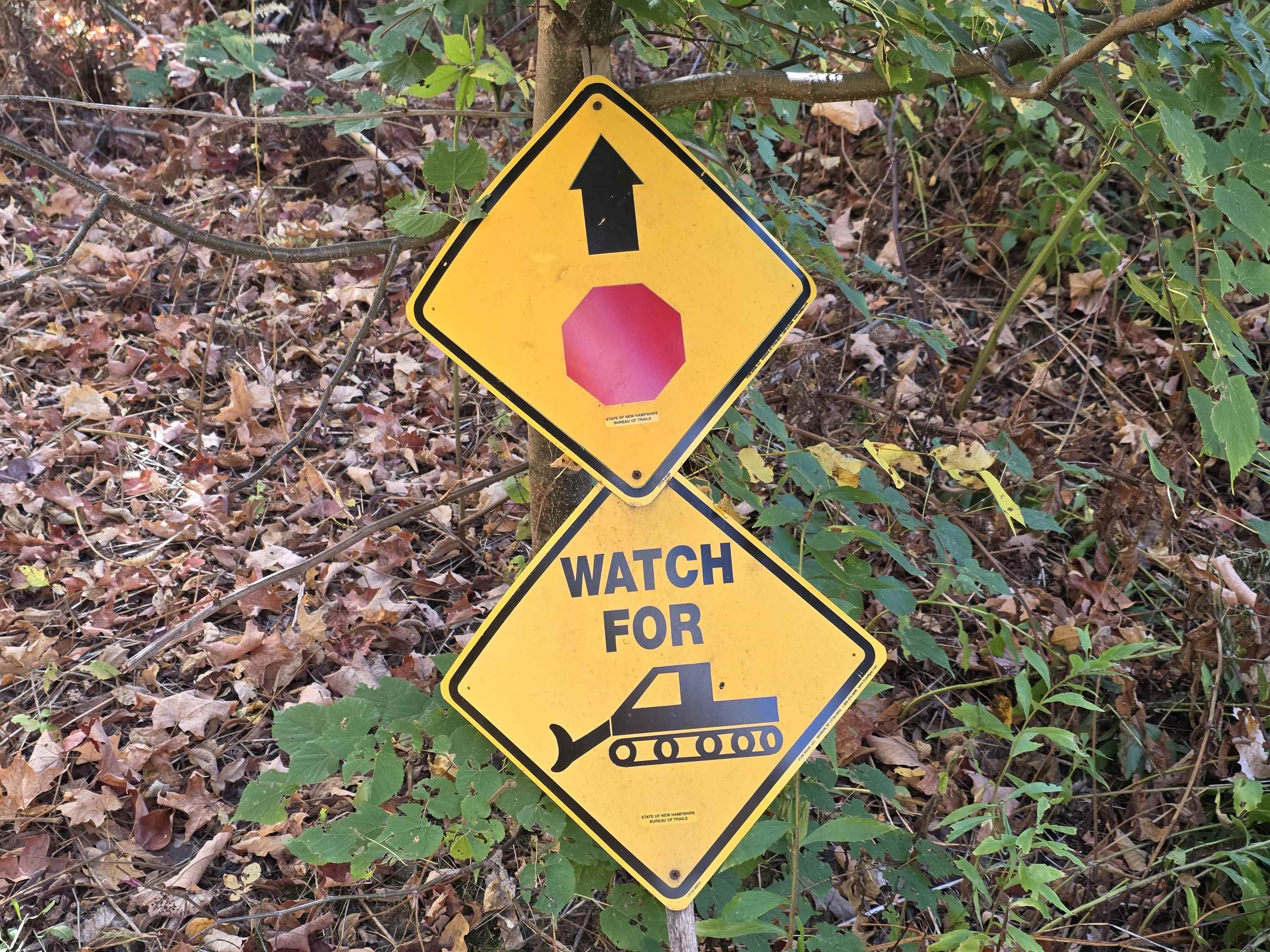 Bethlehem, New Hampshire 03574, United States, 2 Bedrooms Bedrooms, ,1 BathroomBathrooms,Residential,Active,223886