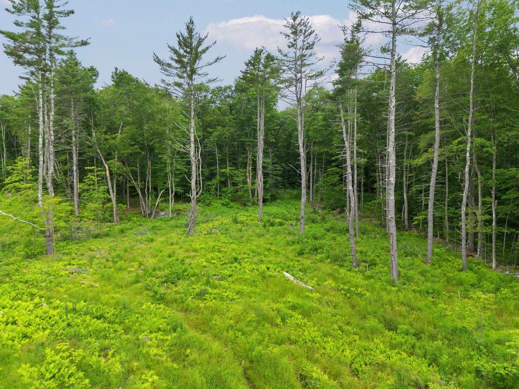 Photo of 315 Gove Road, Acworth, NH 03601 (MLS # 5051009)