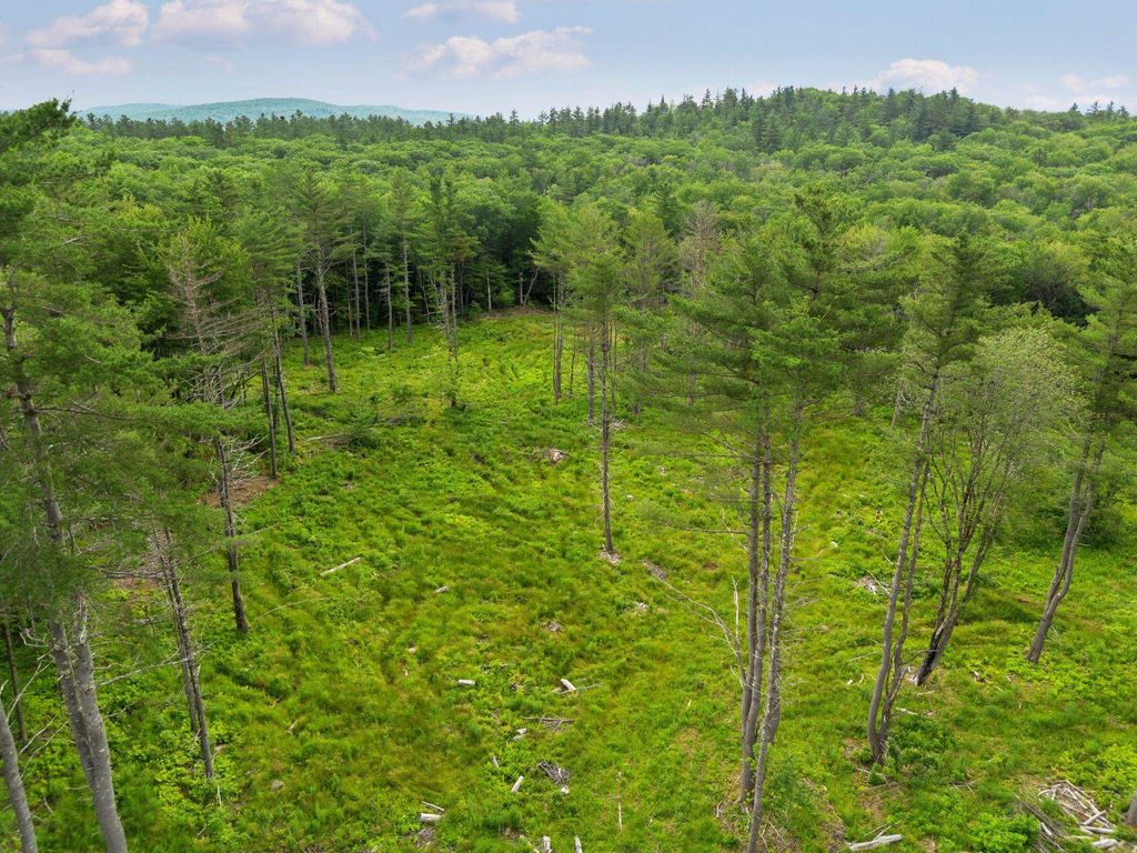 Photo of 315 Gove Road, Acworth, NH 03601 (MLS # 5051009)