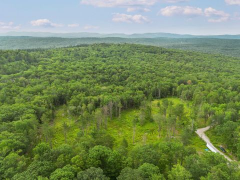 315 Gove Road Acworth NH 03601